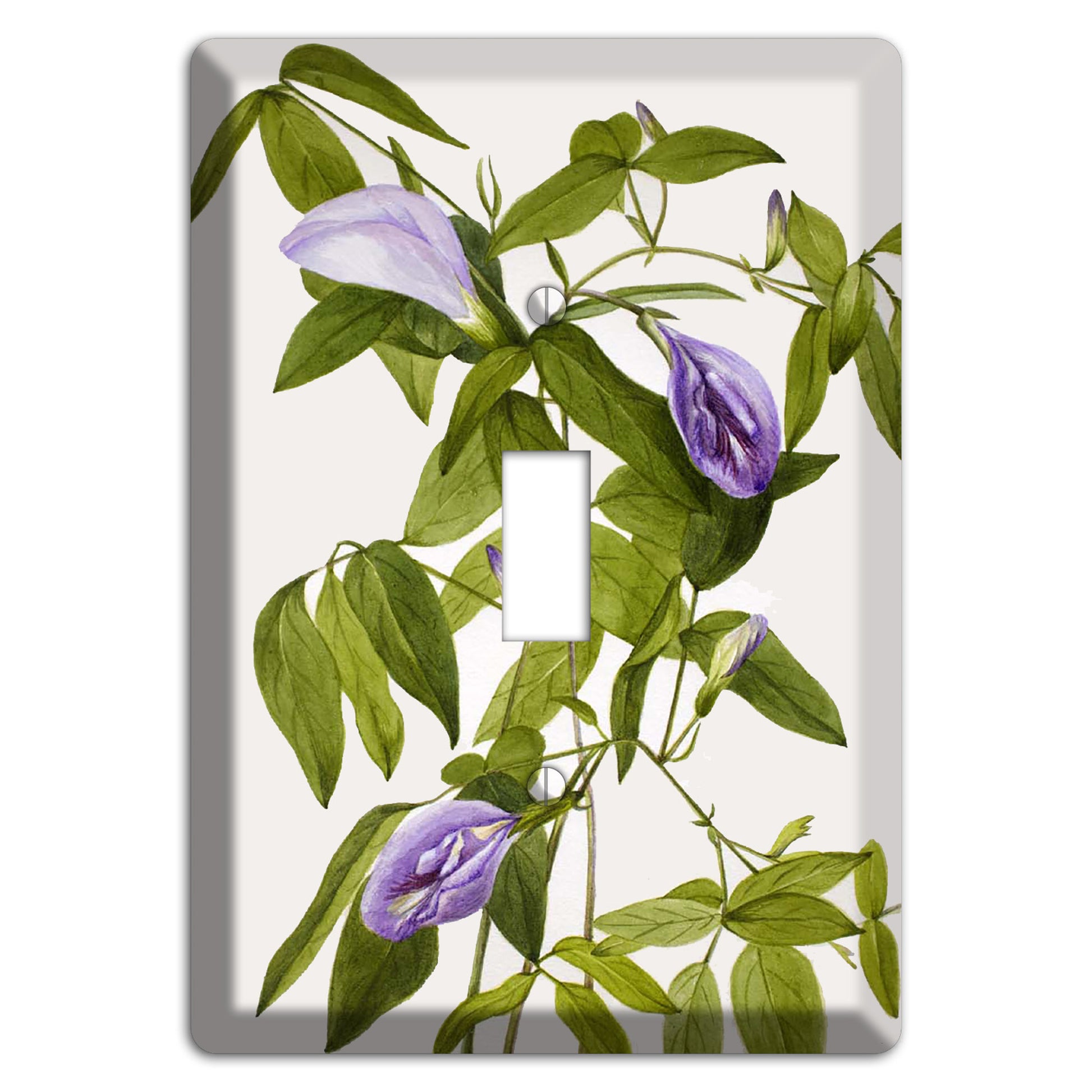 Clitoria Mariana Cover Plates