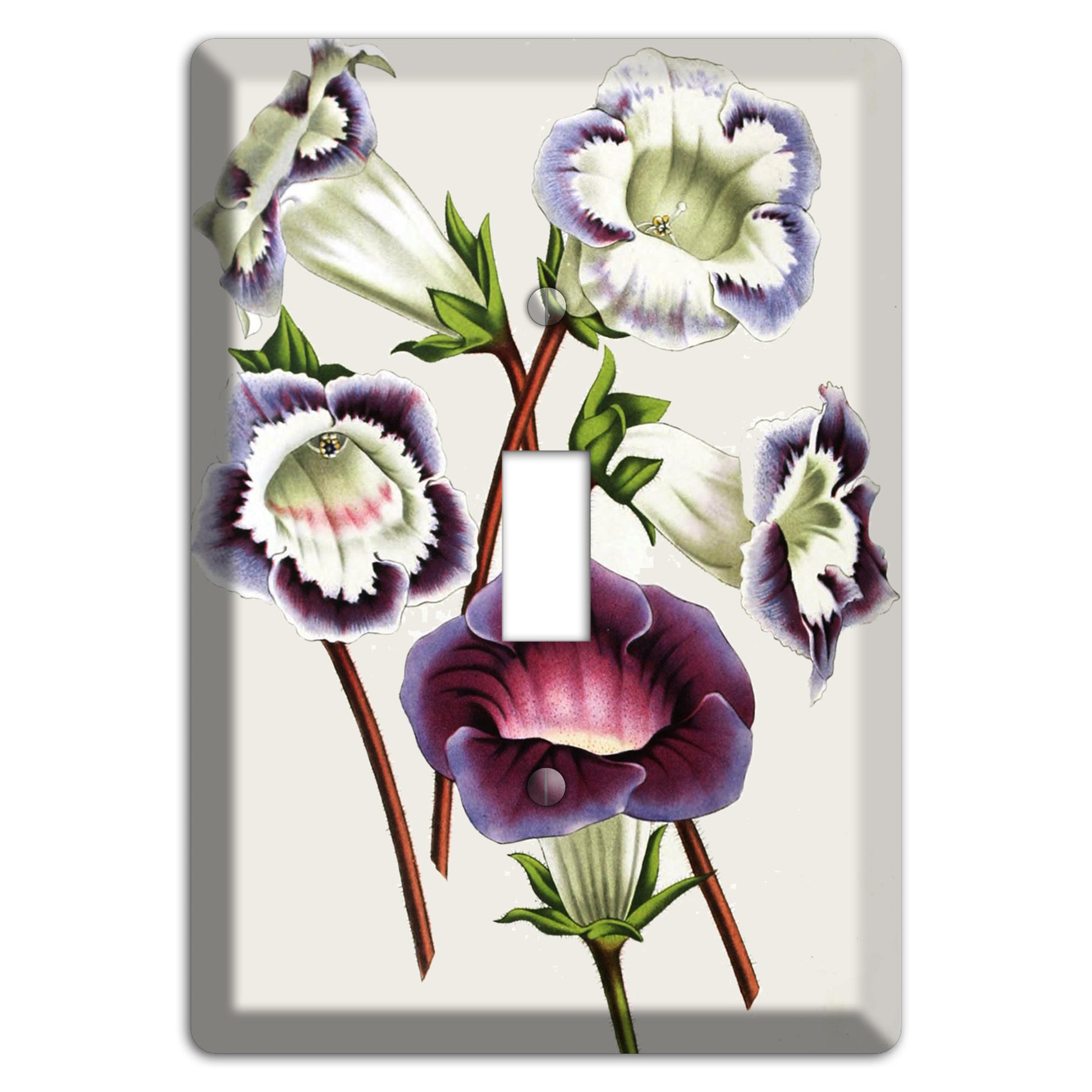 Gloxinas Cover Plates