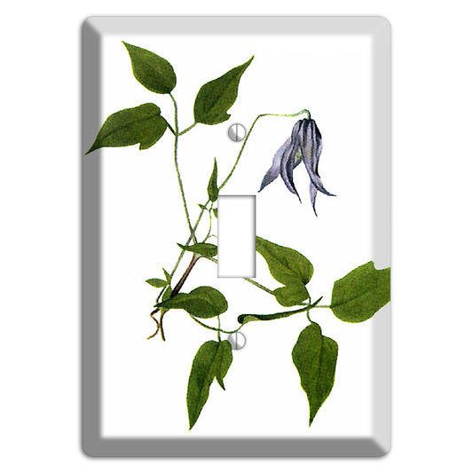 Clematis Columbiana Cover Plates