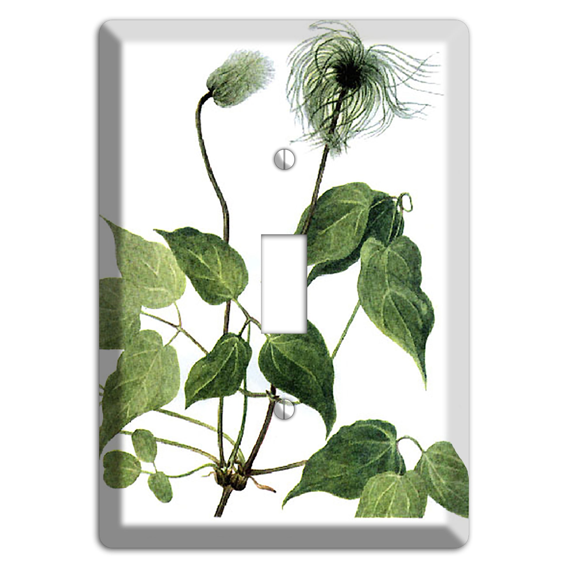 Clamatis Columbiana Cover Plates