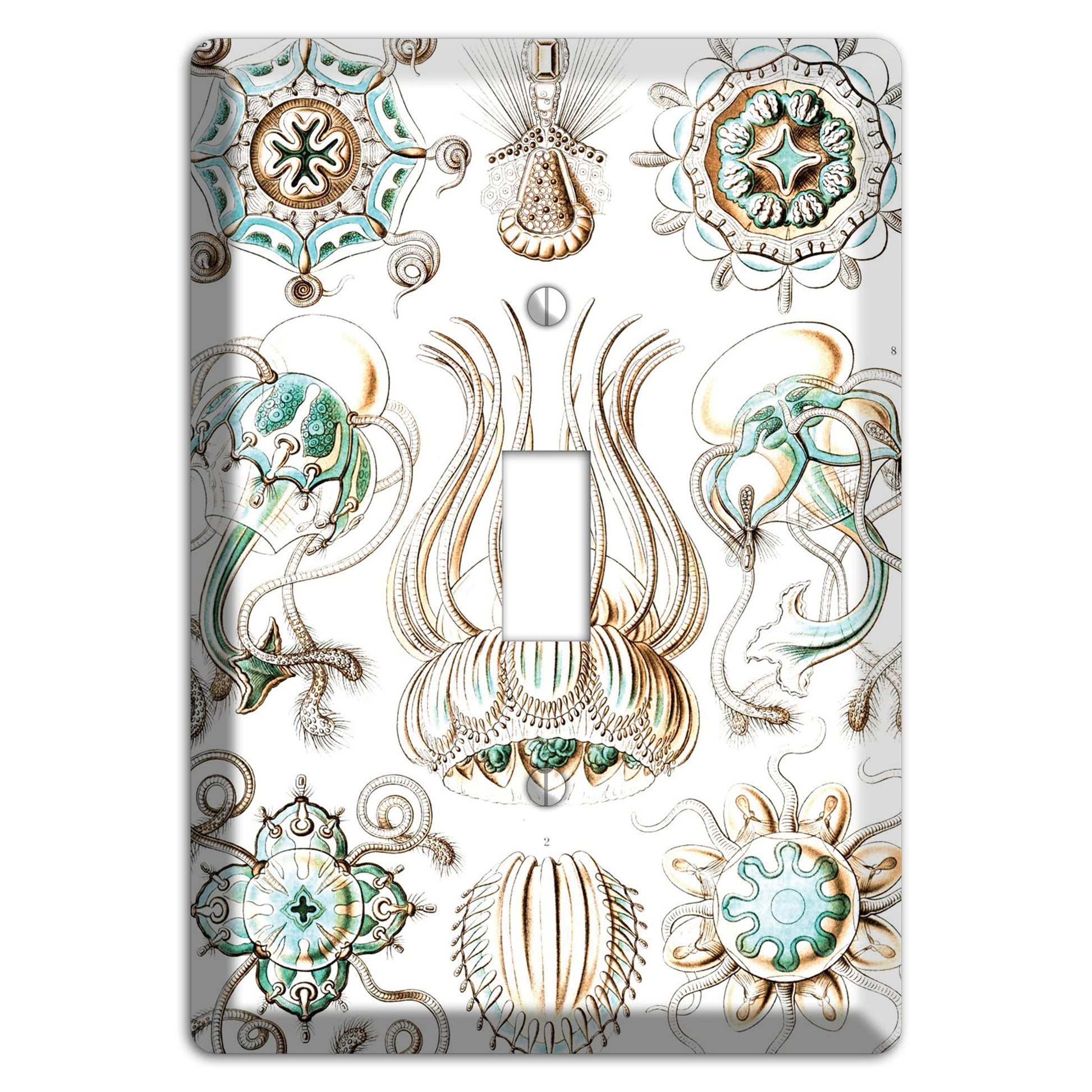 Haeckel - Narcomedusae Cover Plates