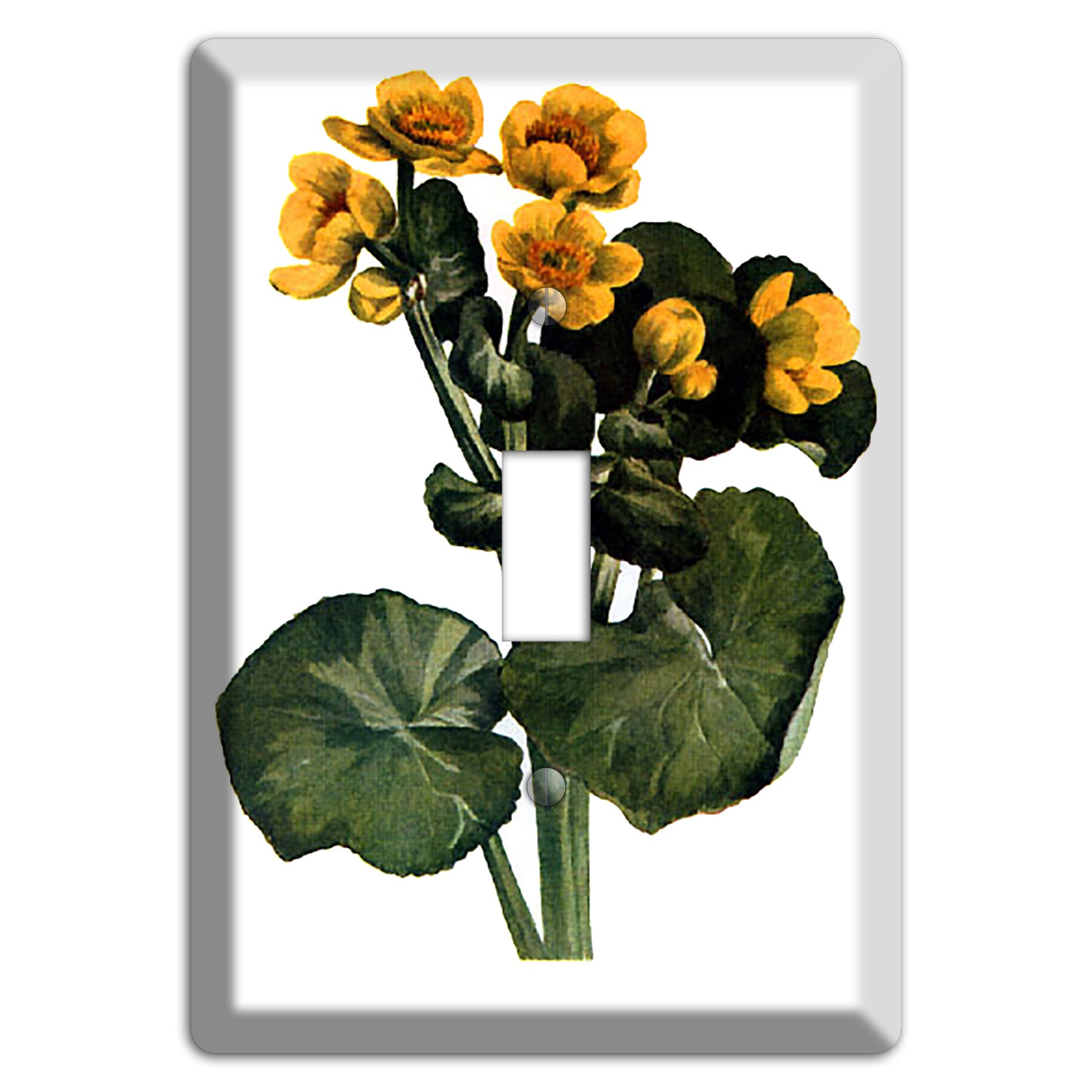 Calla Palustrie 2 Cover Plates