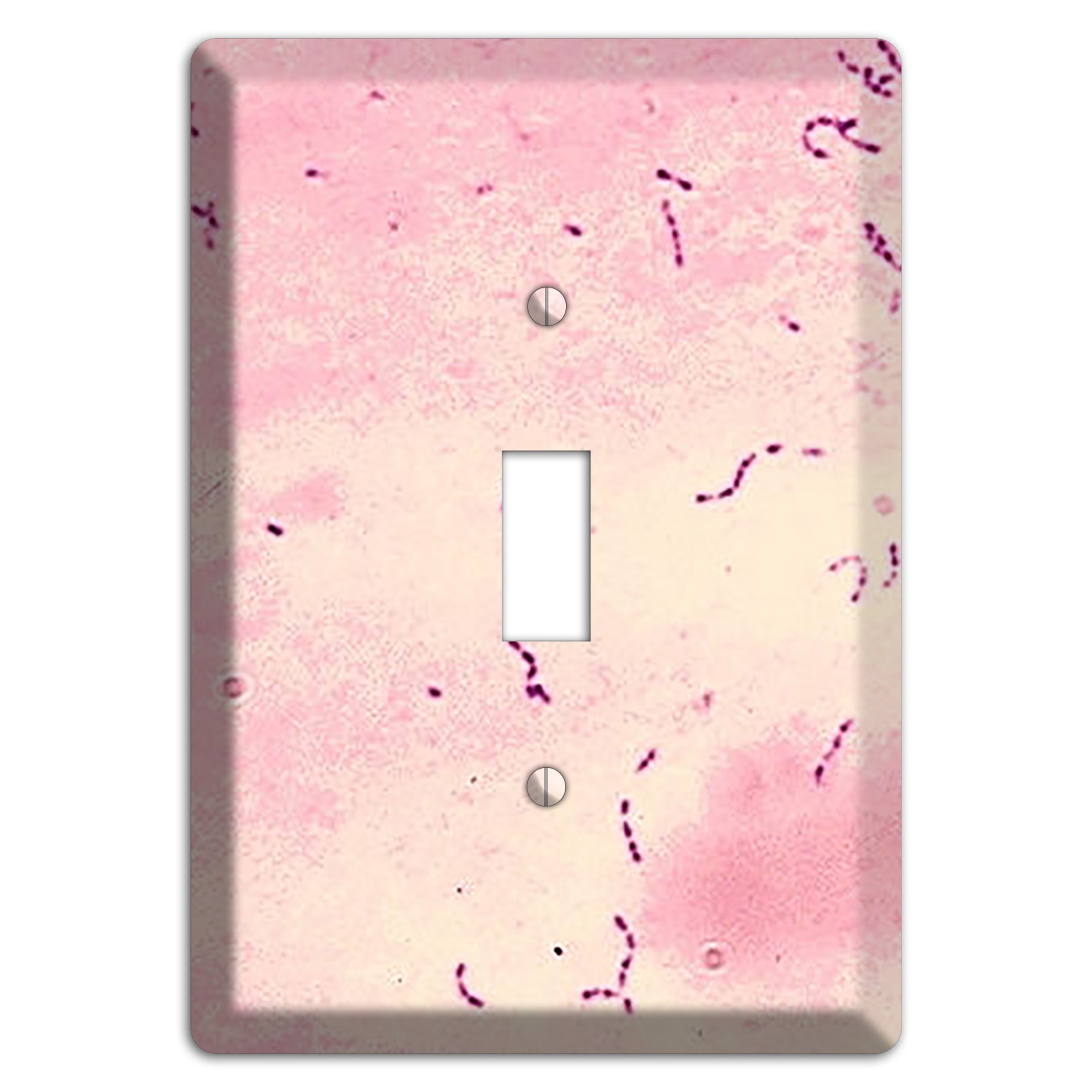 Streptococcus Mutans Cover Plates