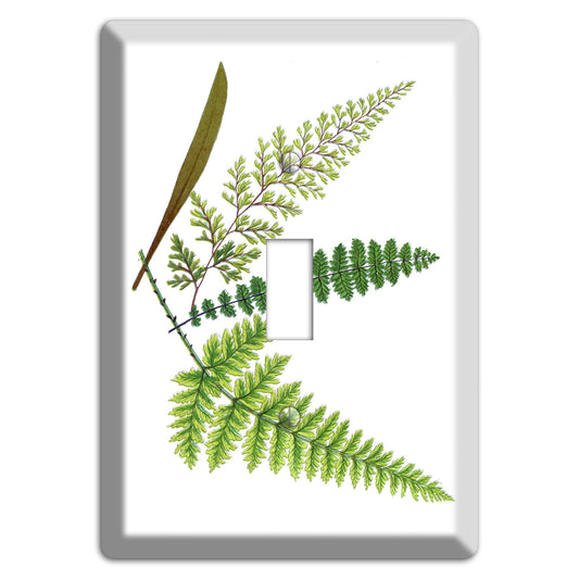 Ferns Cover Plates