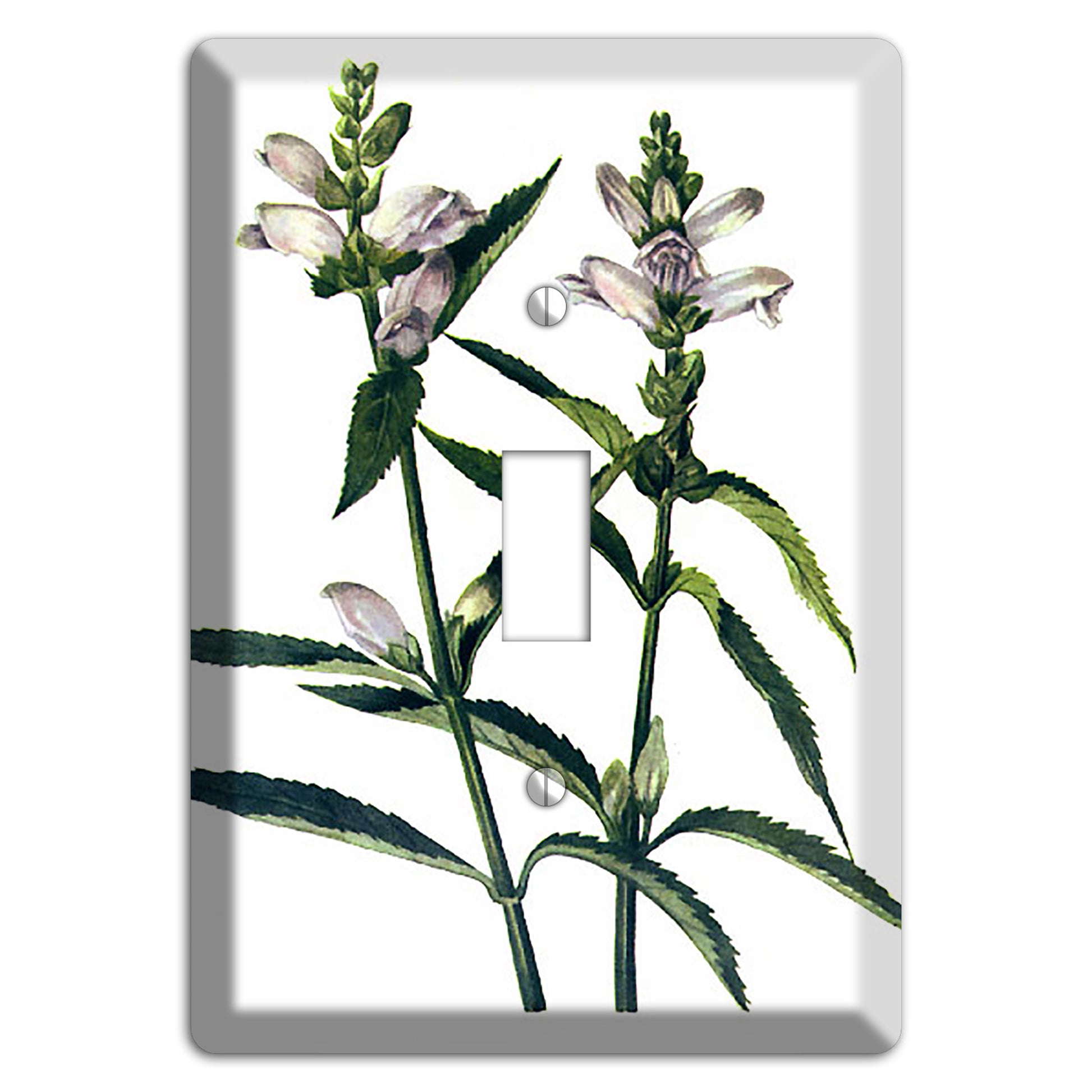 Chelone Glabra Cover Plates