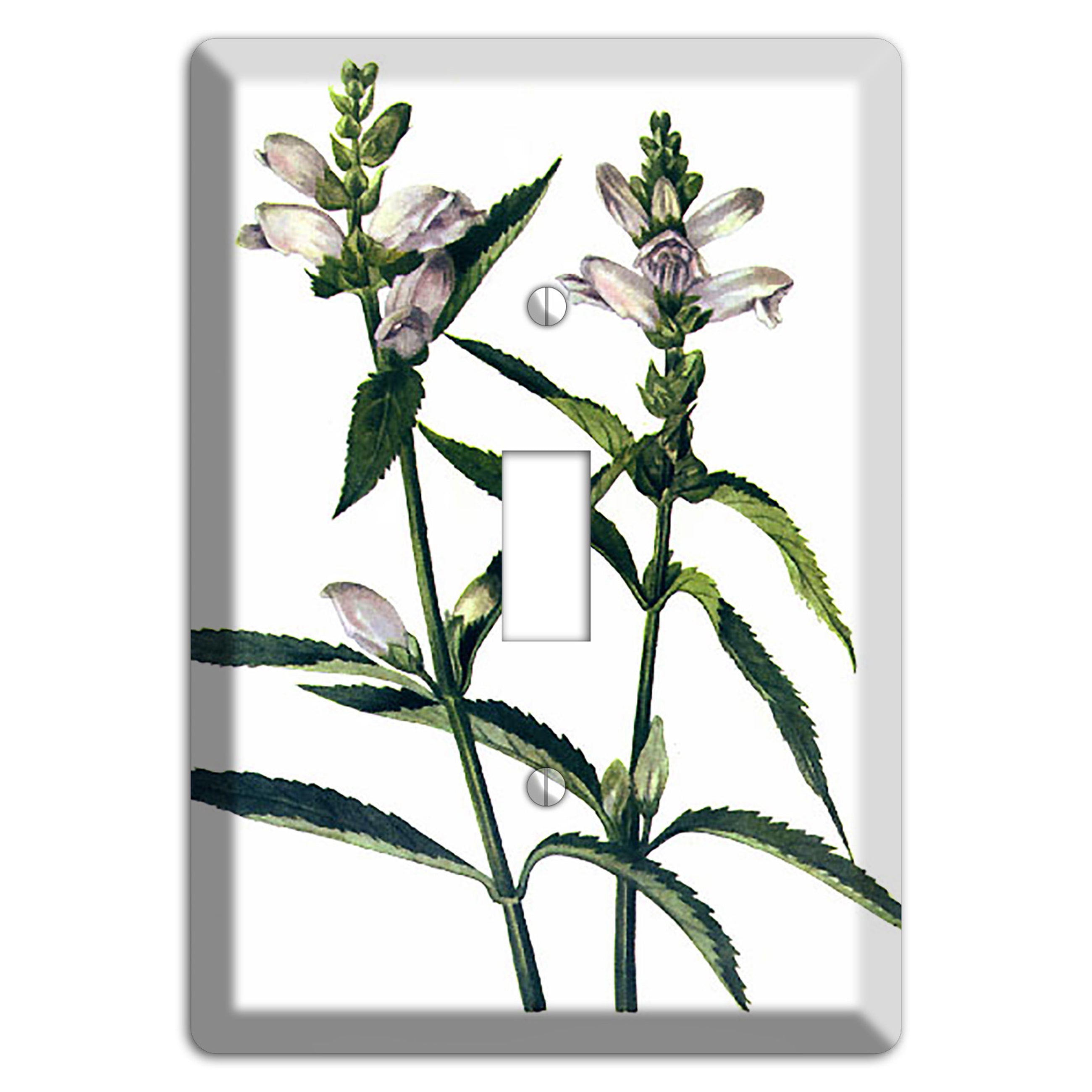 Chelone Glabra Cover Plates