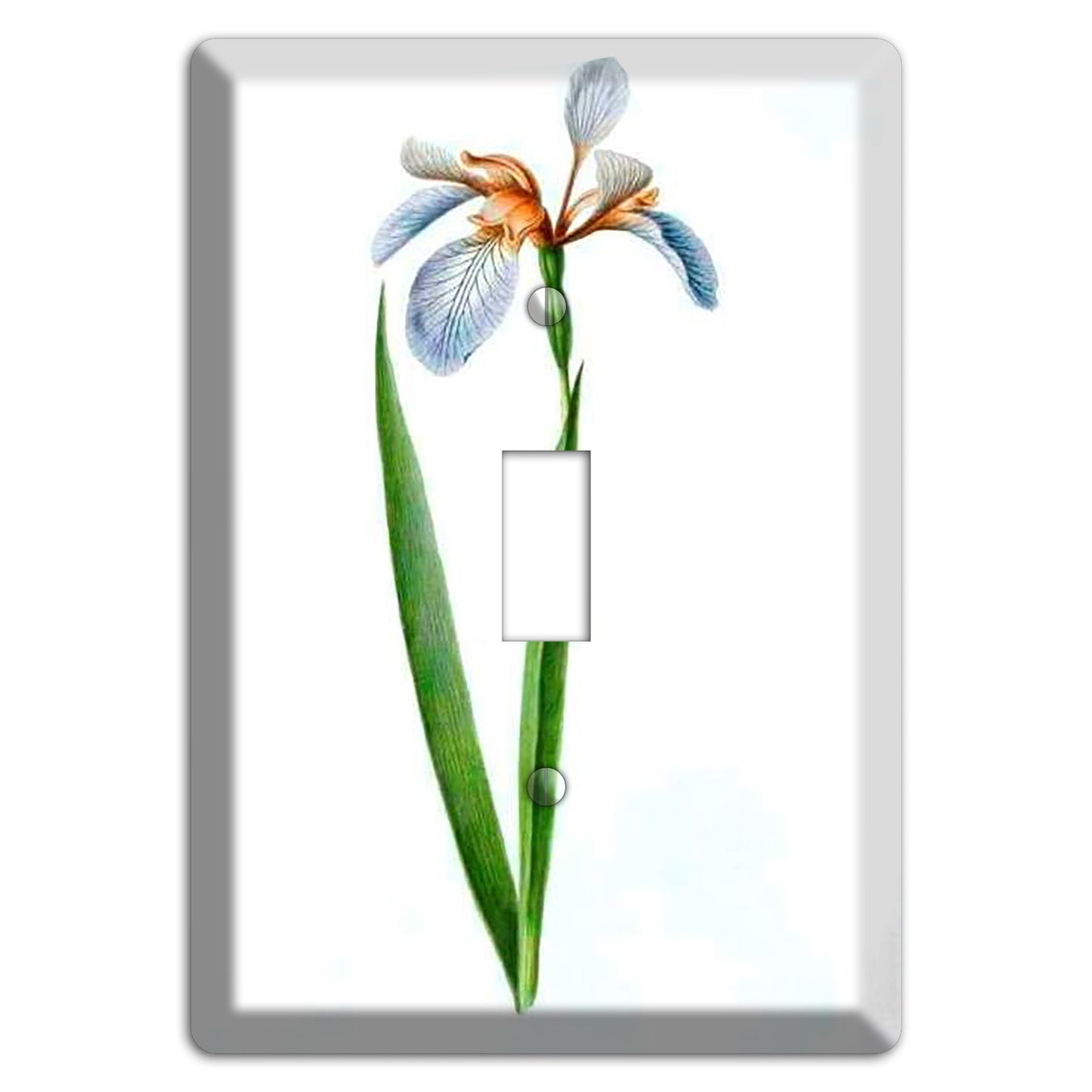 White Iris 2 Cover Plates