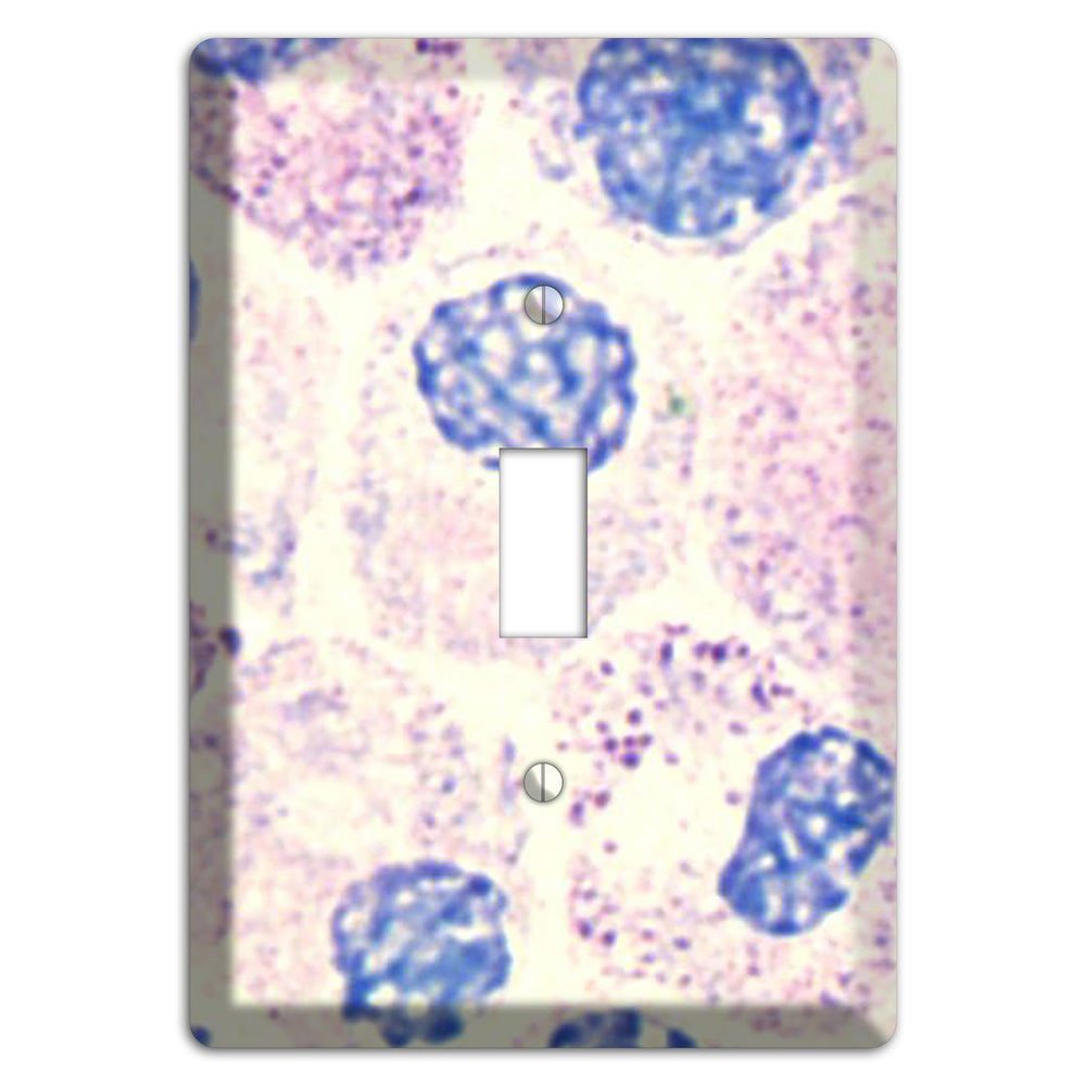 SMC Polyhydroxy Cover Plates