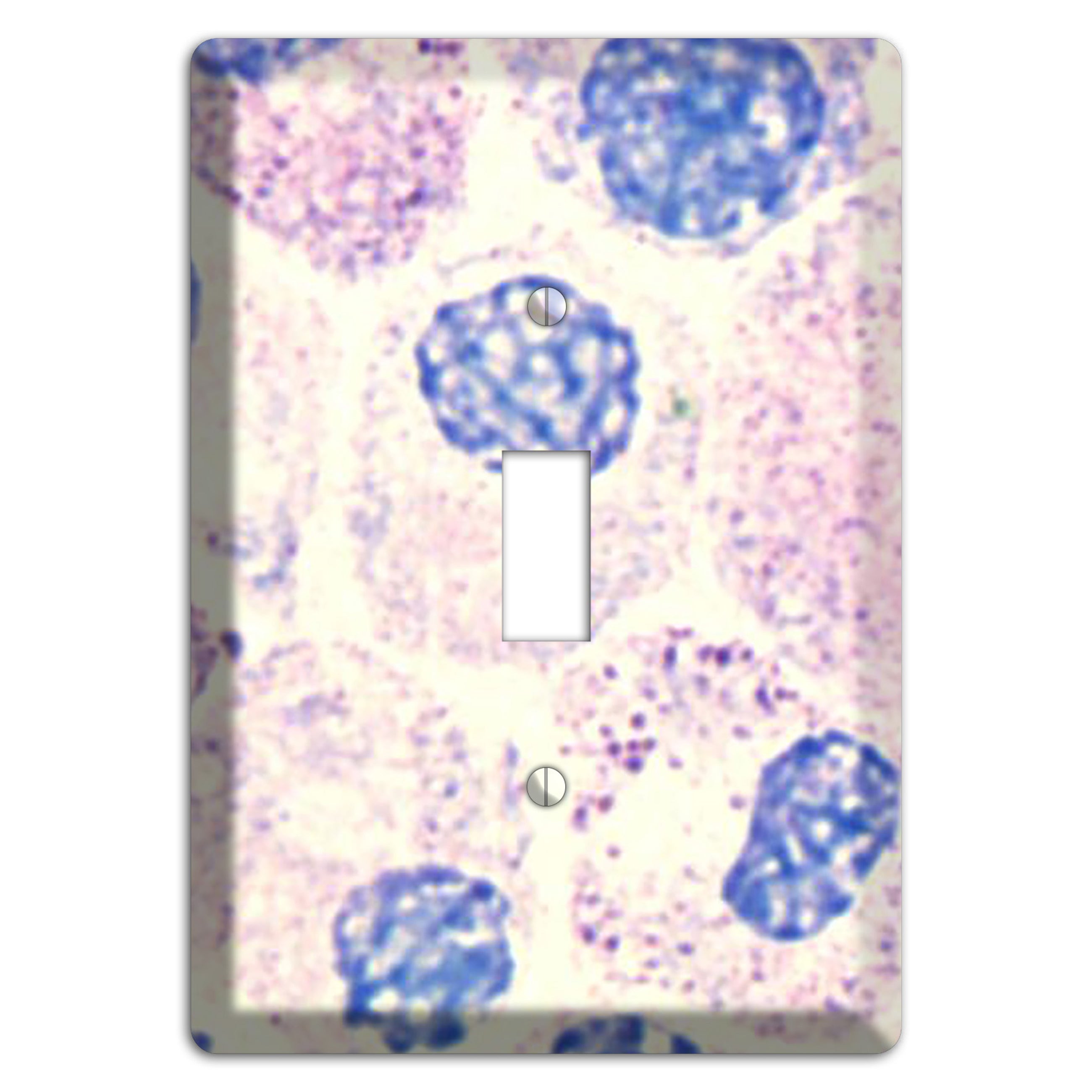 SMC Polyhydroxy Cover Plates