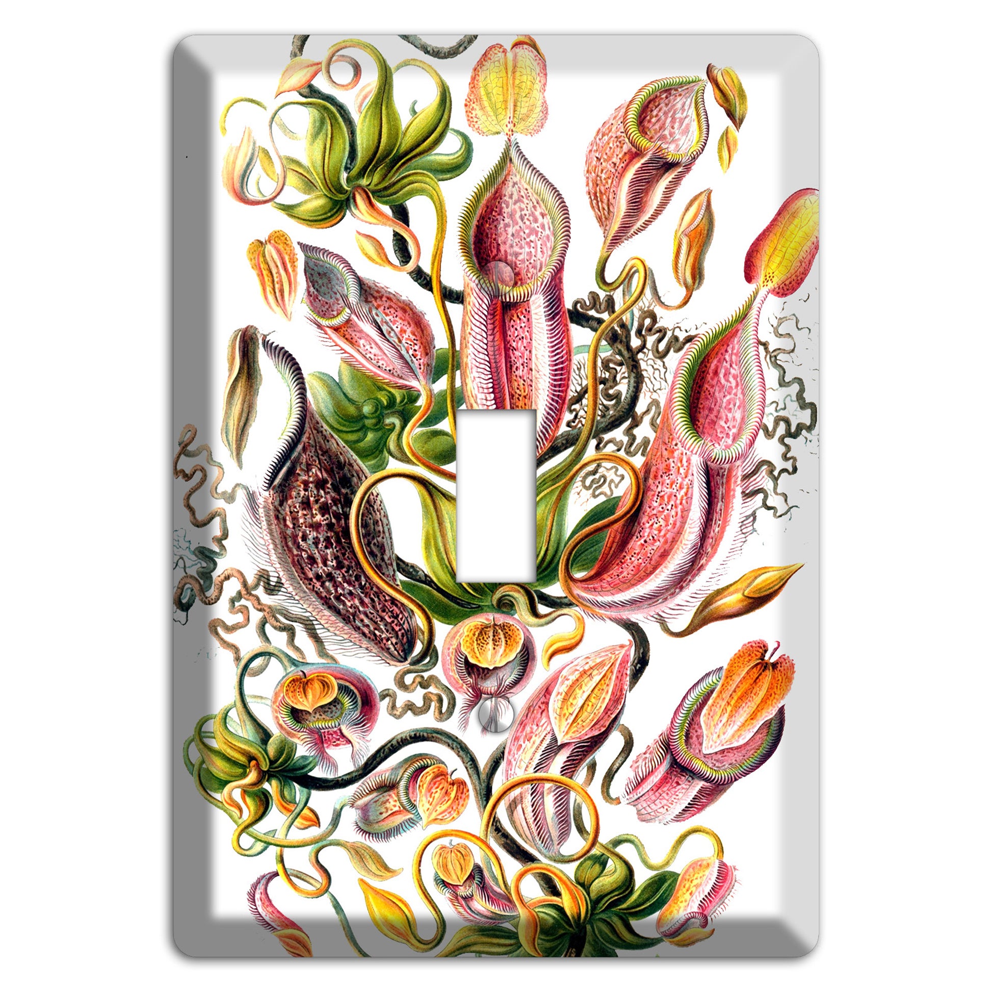 Haechel Cover Plates