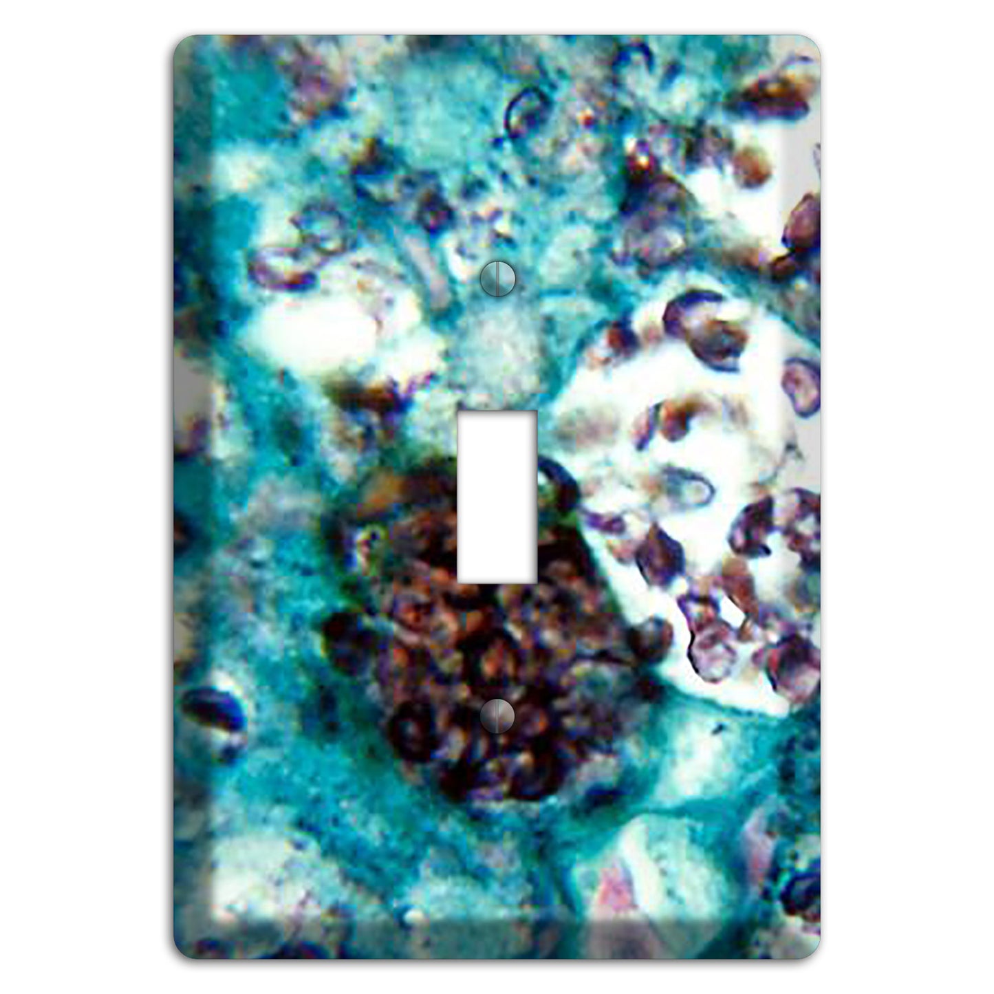 Histoplasmosis Capsulatum Cover Plates