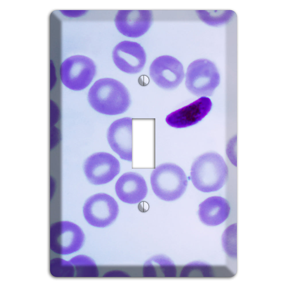 Plasmodium Falciparum Cover Plates