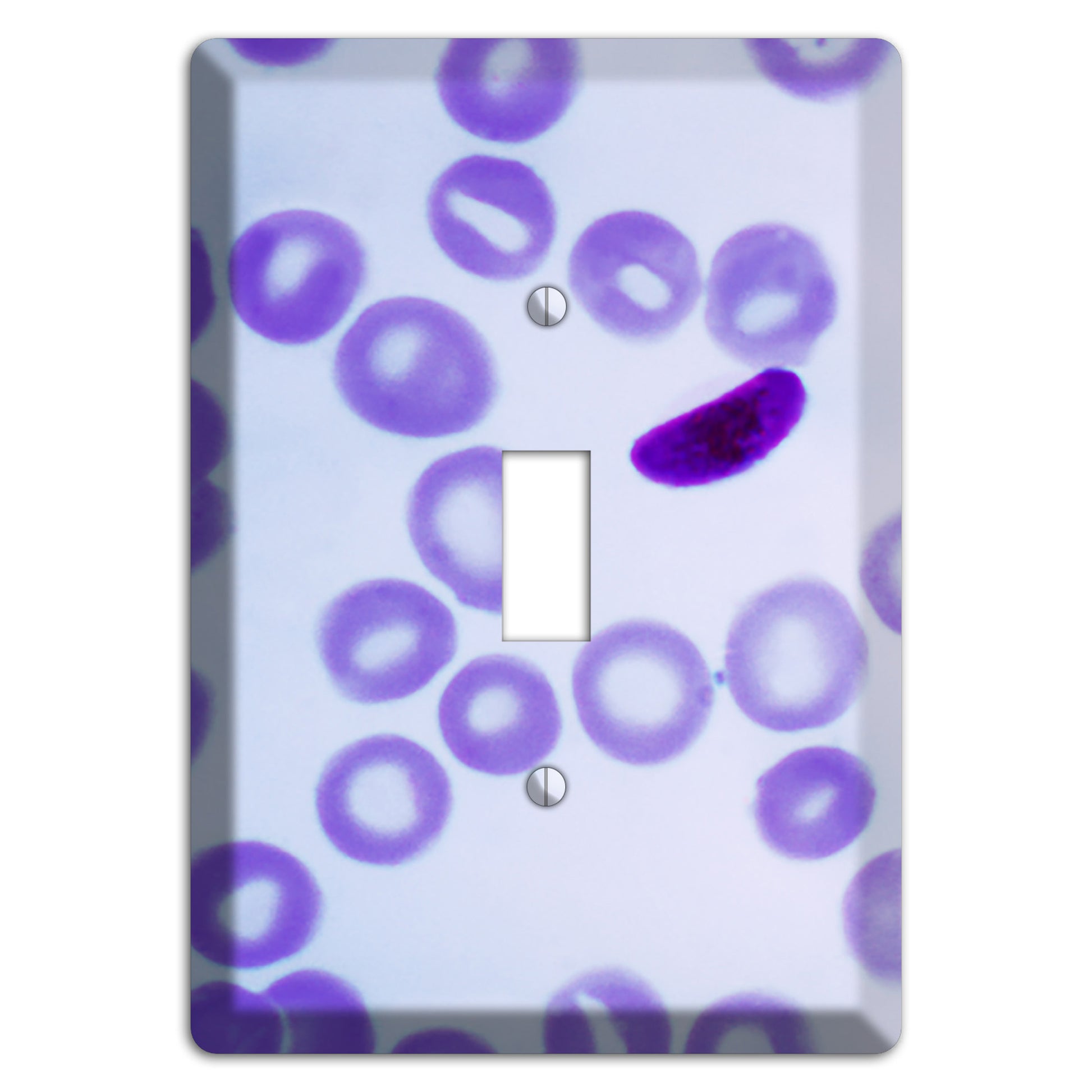 Plasmodium Falciparum Cover Plates