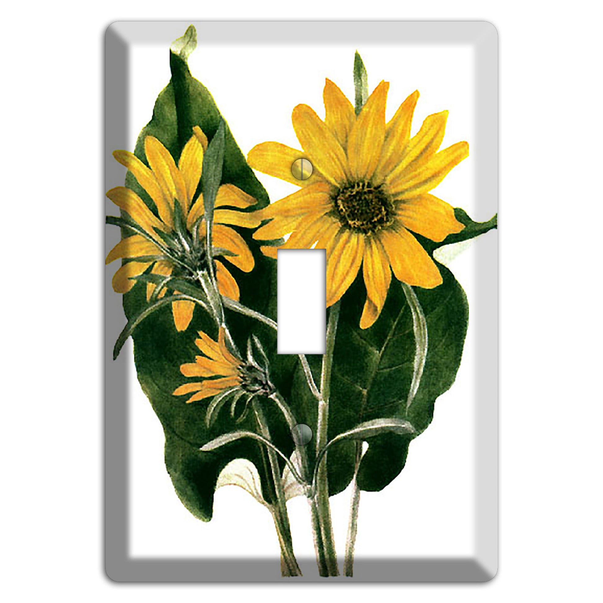 Balsamorhiza Sagittata Cover Plates