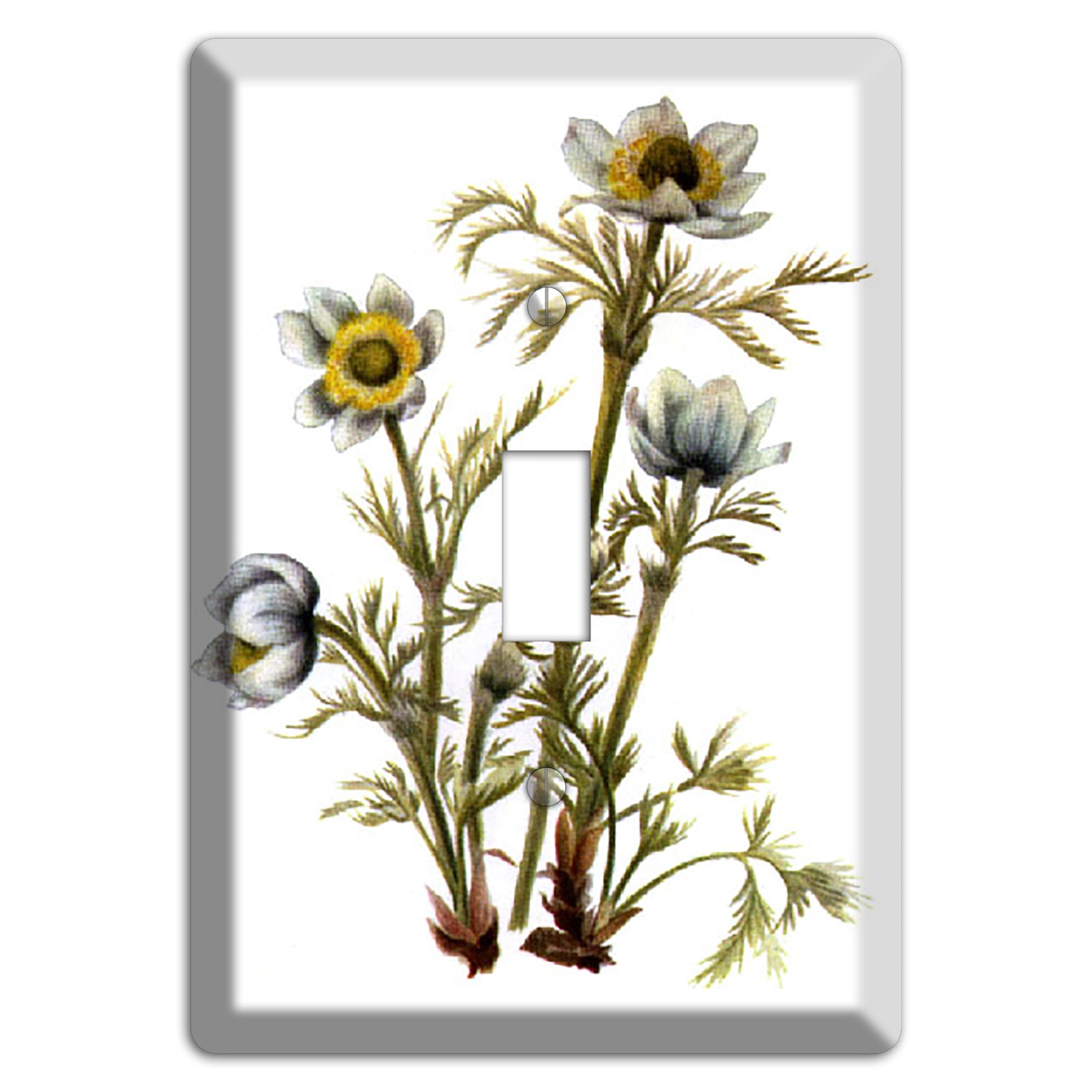 Aenmone Occitentalis Cover Plates