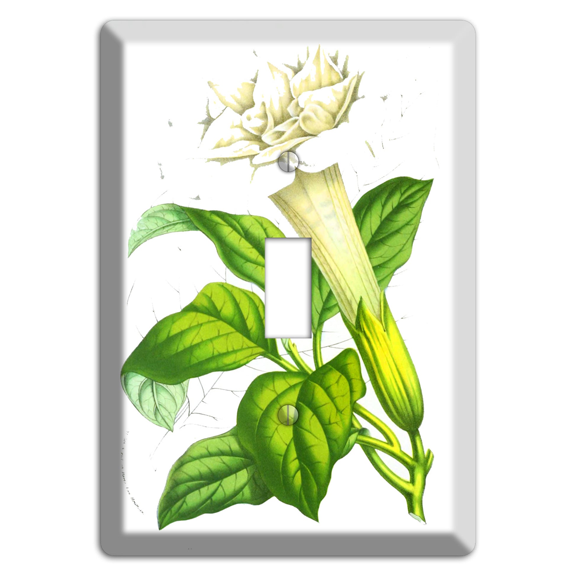 Datura Fastuosa Cover Plates