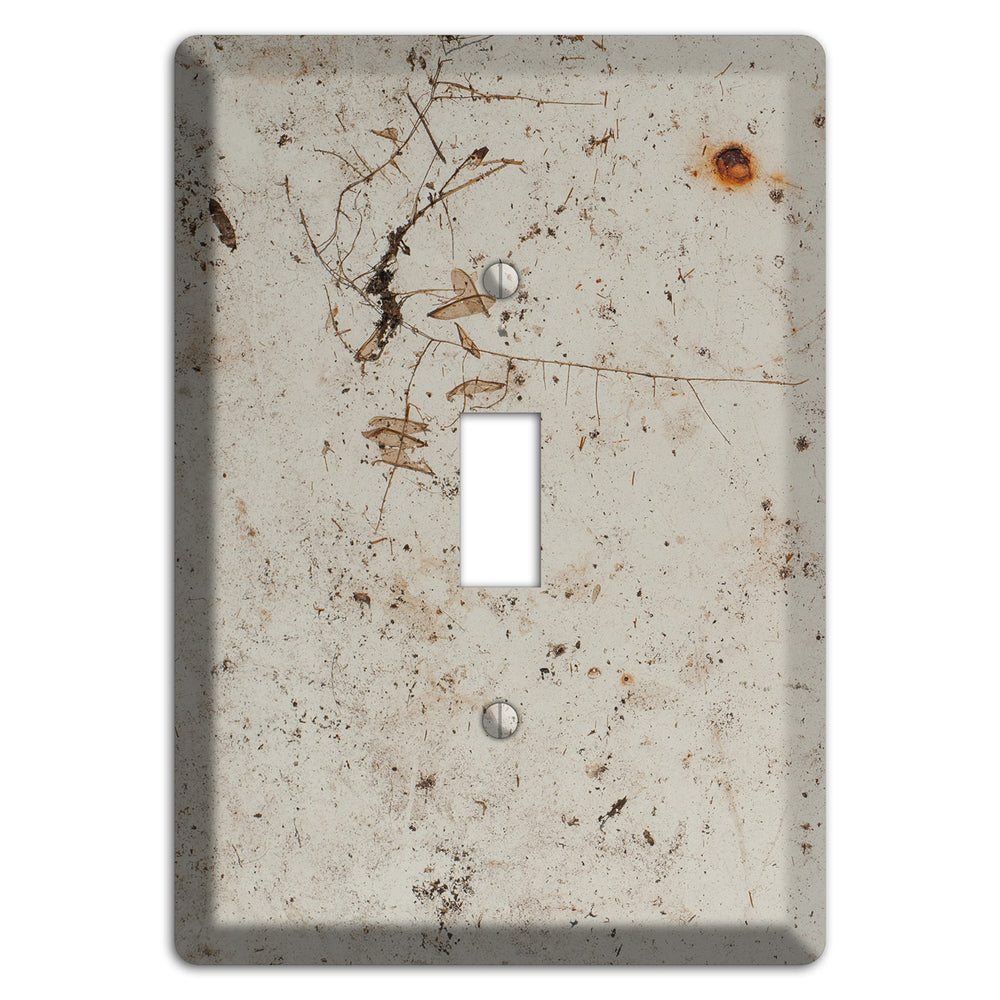 Spotted Concrete Cover Plates