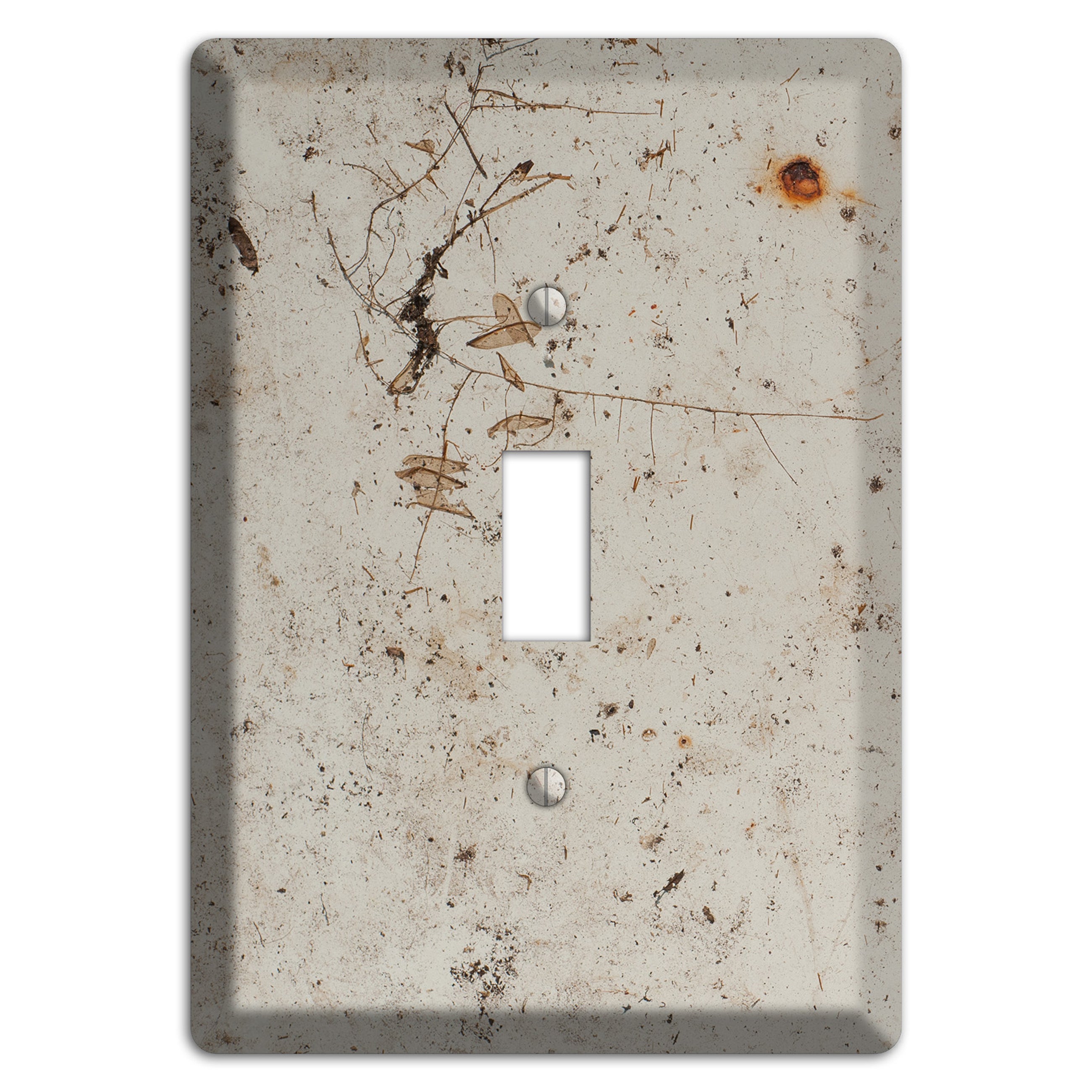 Spotted Concrete Cover Plates