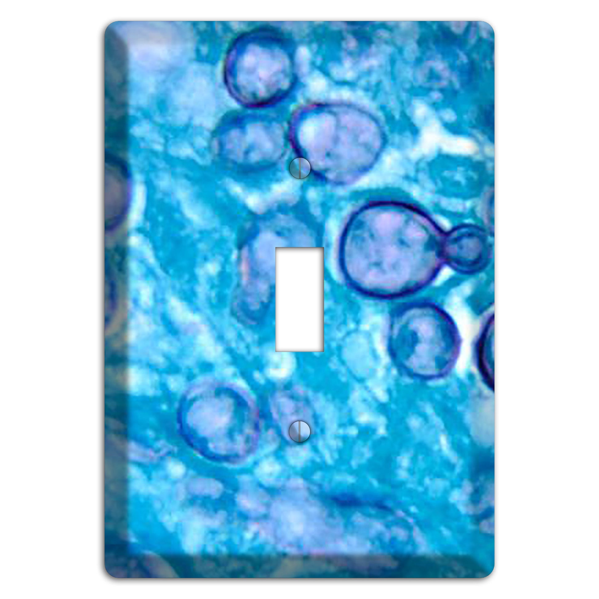 Histoplasma Capsulatum Duboisii Cover Plates