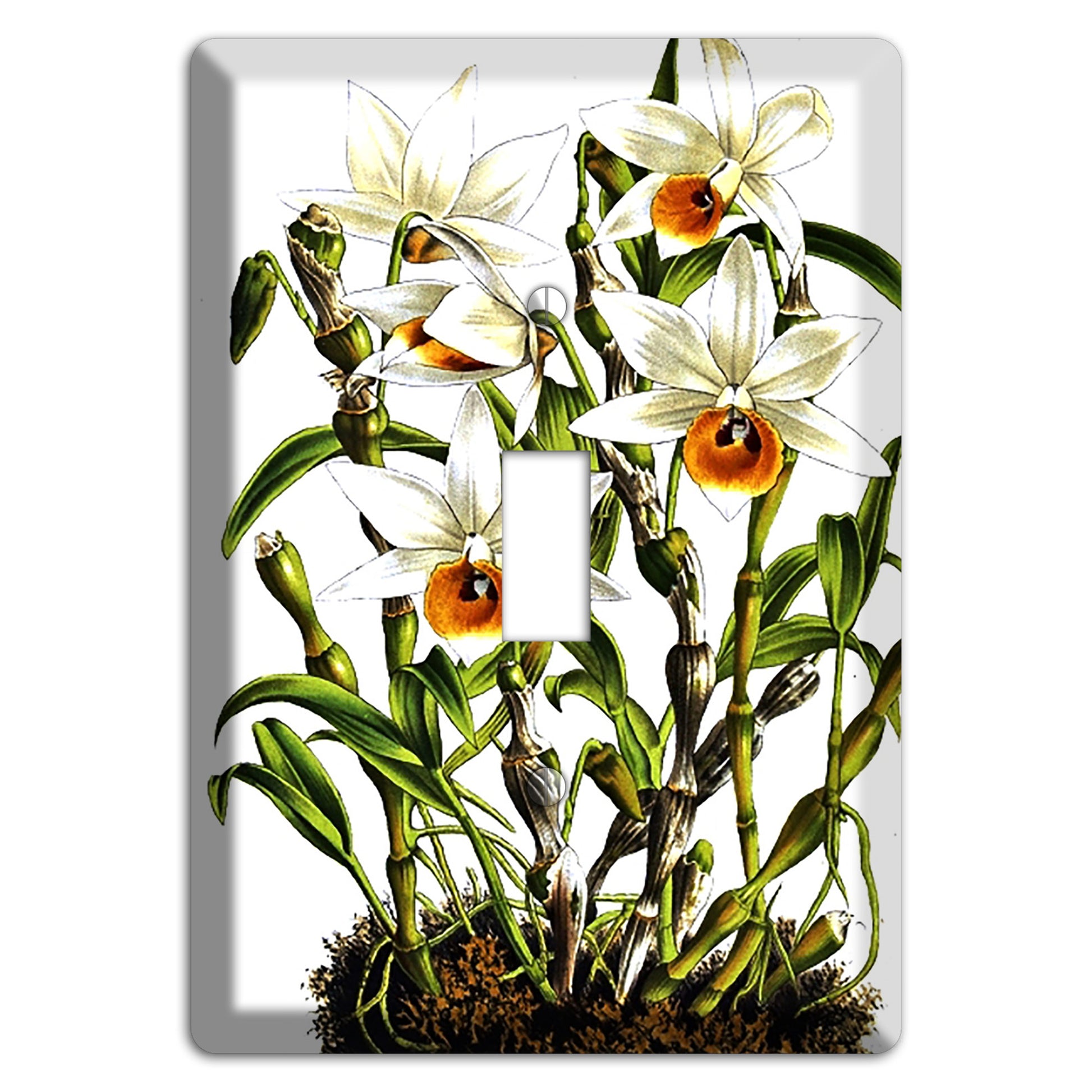 Dendrobium Cover Plates