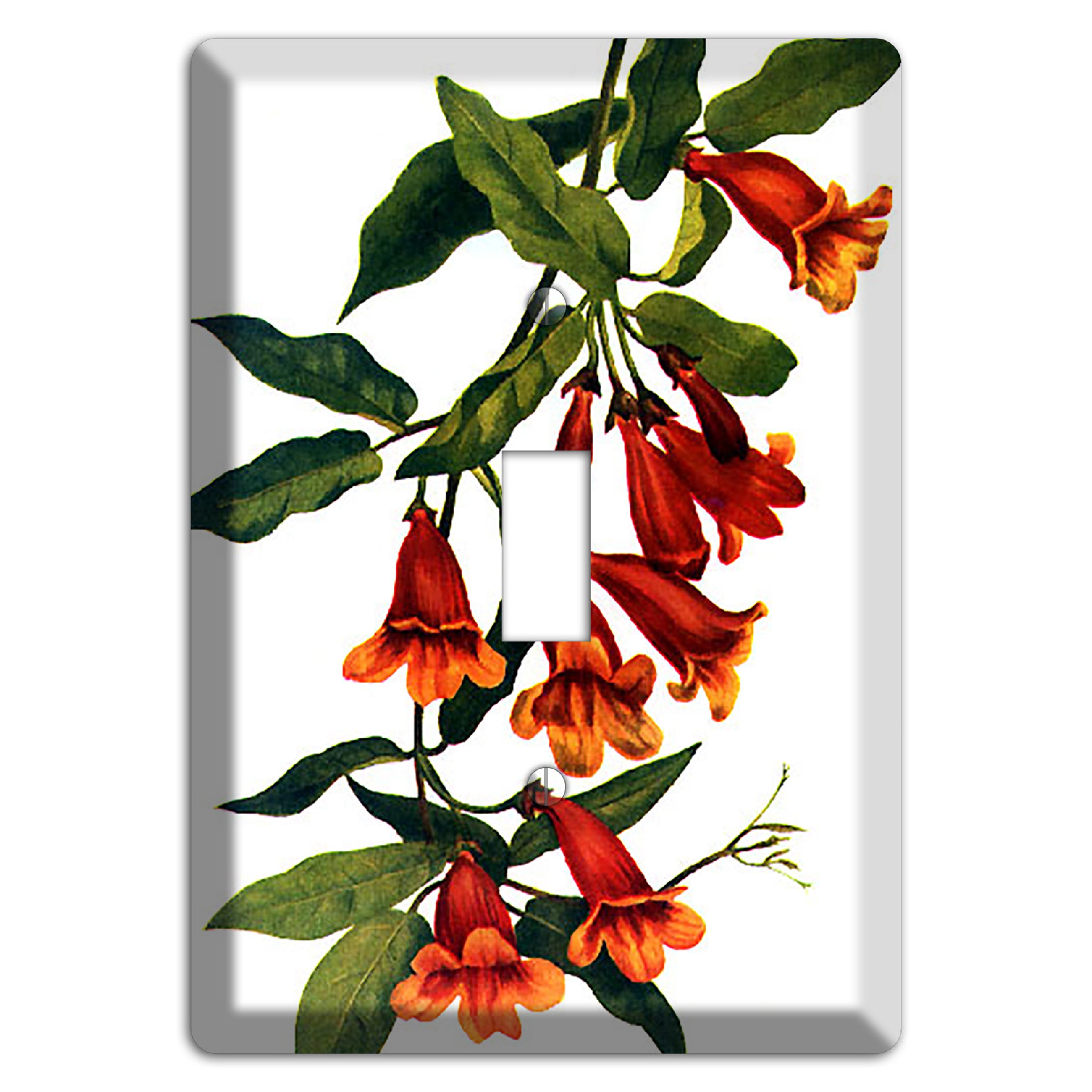 Bigonia Capreolata Cover Plates