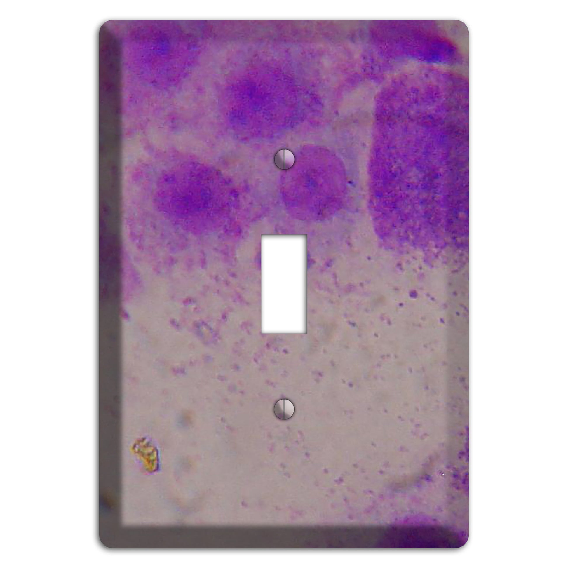 Mast Cell Tumor Cover Plates