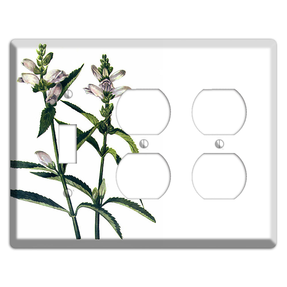 Chelone Glabra Toggle / 2 Duplex Wallplate