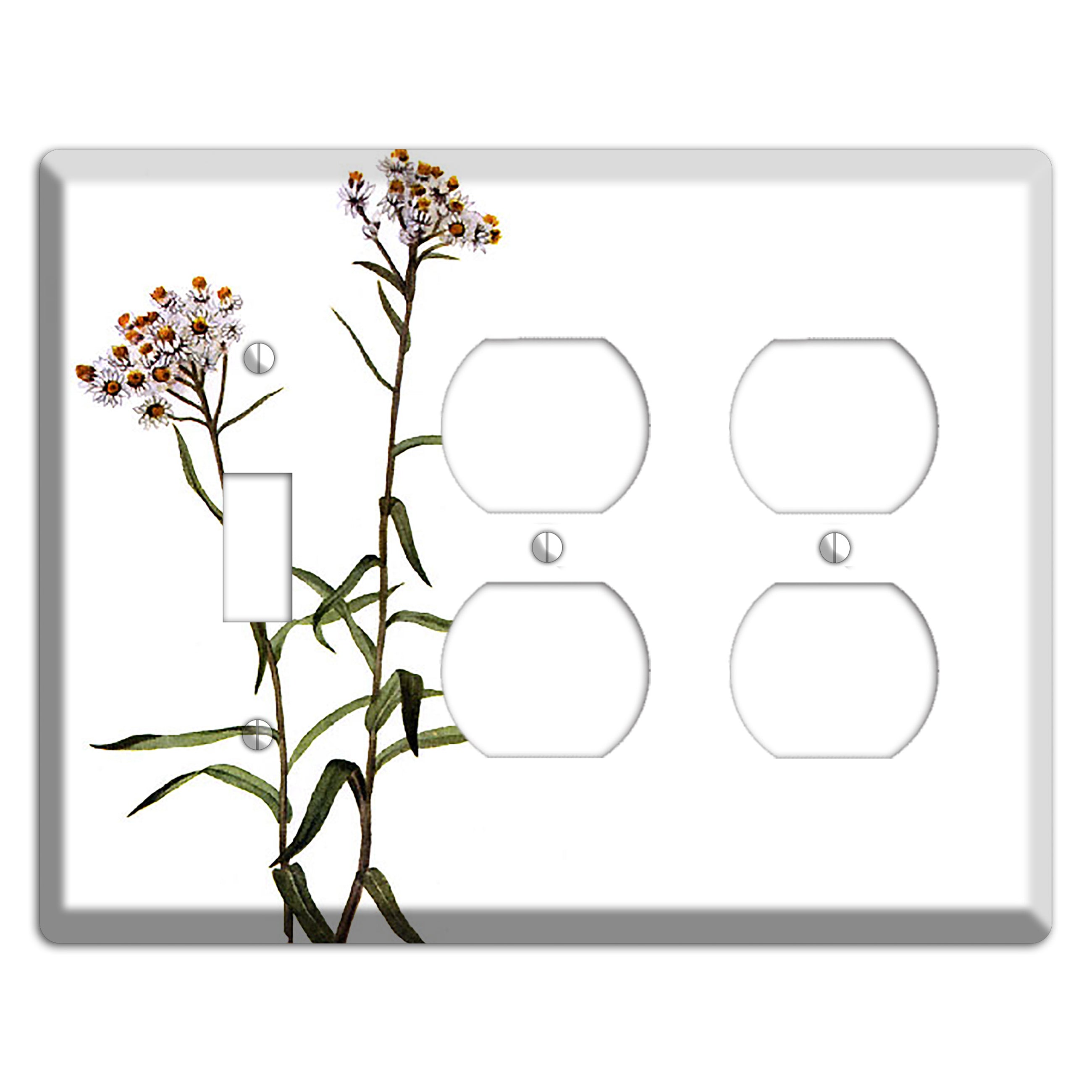 Anaphalis Margoritacea Toggle / 2 Duplex Wallplate
