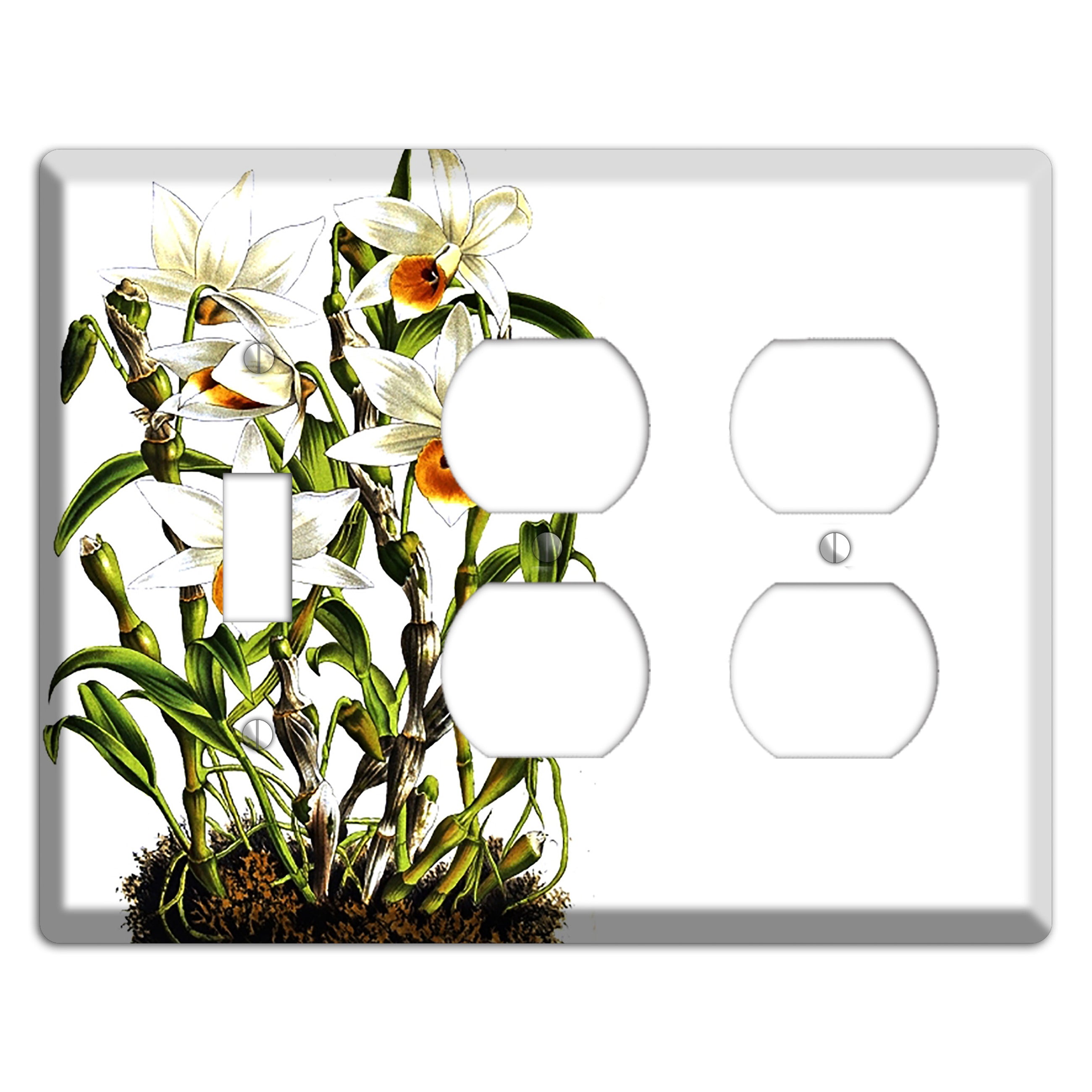 Dendrobium Toggle / 2 Duplex Wallplate