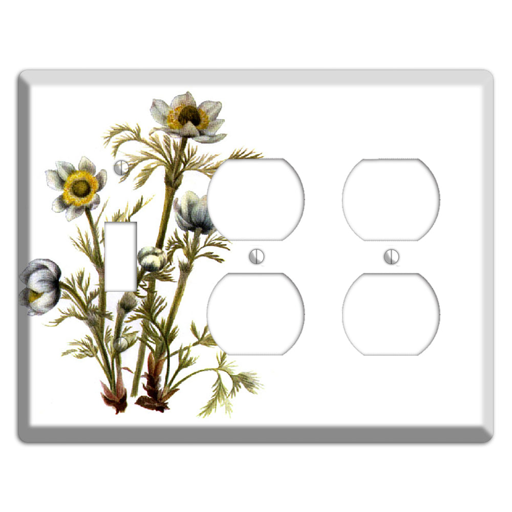 Aenmone Occitentalis Toggle / 2 Duplex Wallplate