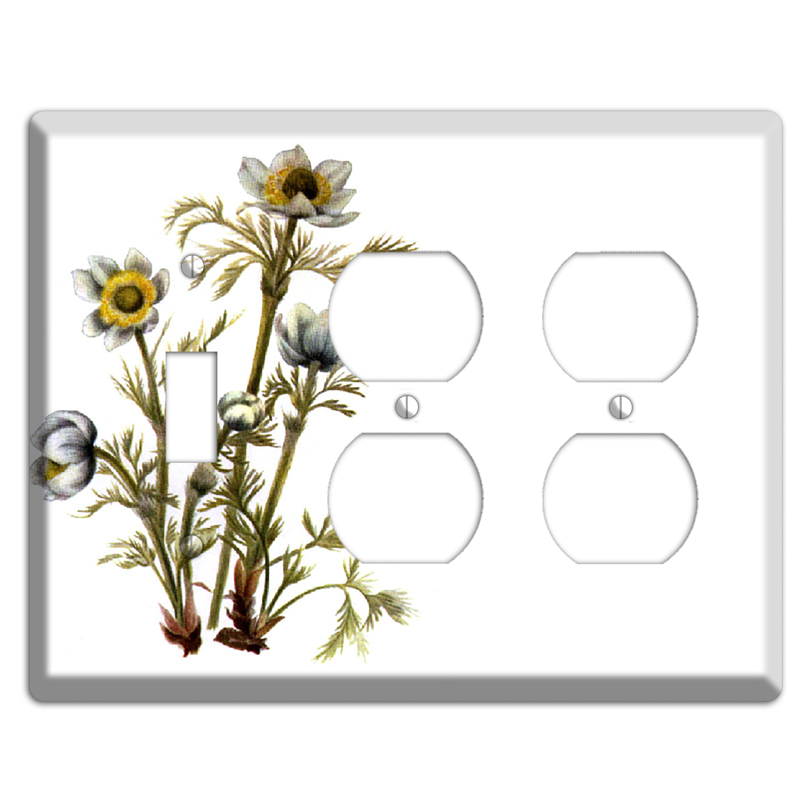 Aenmone Occitentalis Toggle / 2 Duplex Wallplate