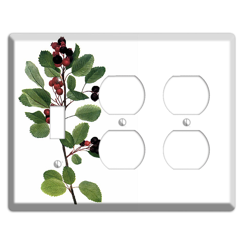 Amelanchier Ainifolia Toggle / 2 Duplex Wallplate