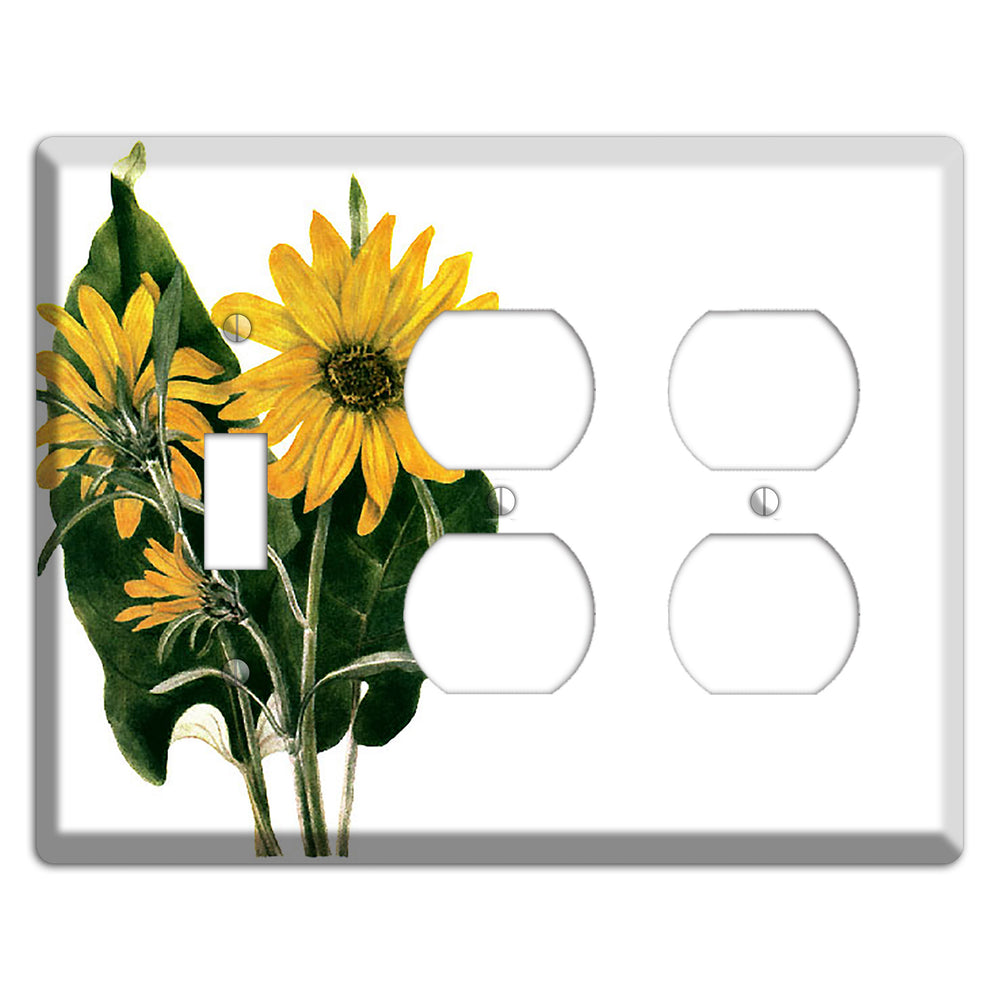Balsamorhiza Sagittata Toggle / 2 Duplex Wallplate