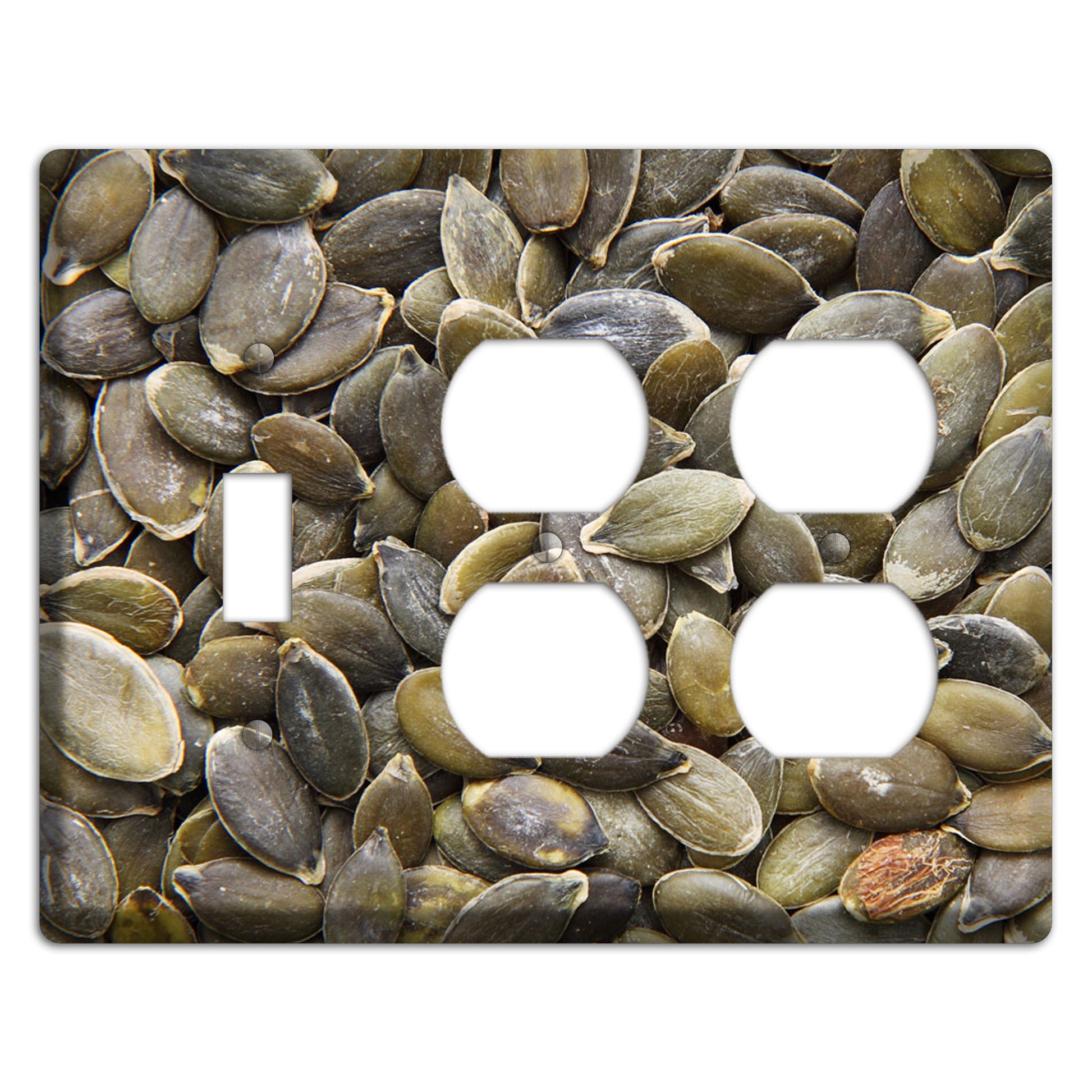 Sunflowers Seeds Toggle / 2 Duplex Wallplate