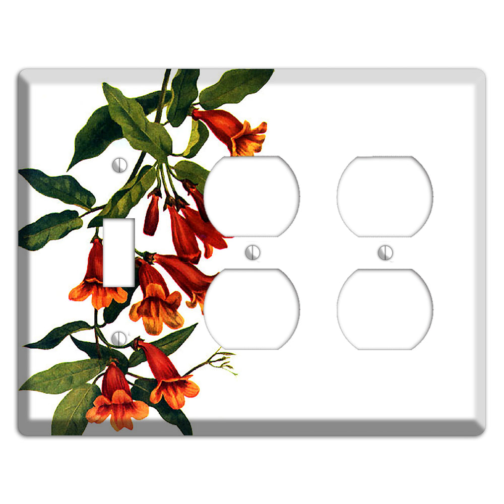 Bigonia Capreolata Toggle / 2 Duplex Wallplate
