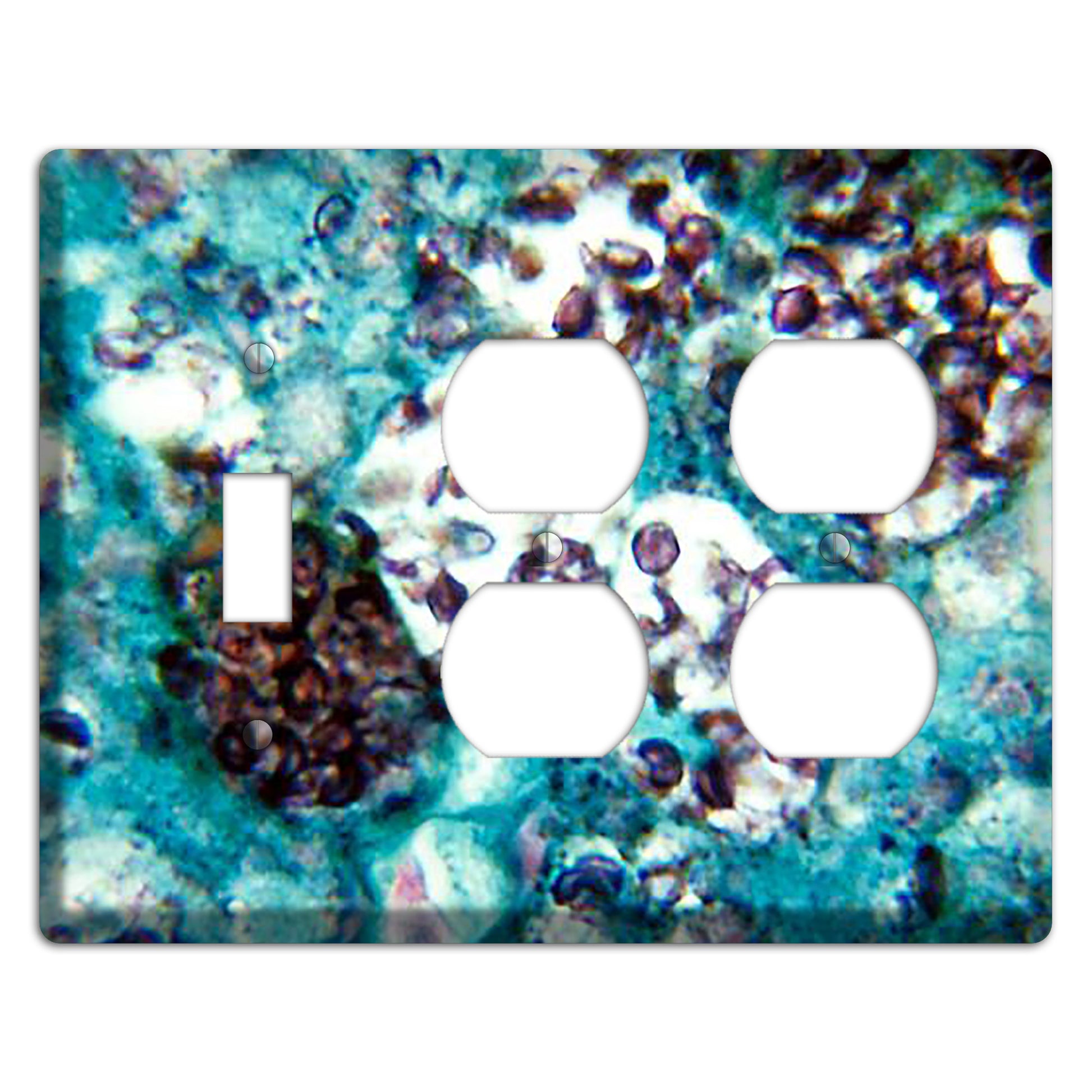 Histoplasmosis Capsulatum Toggle / 2 Duplex Wallplate