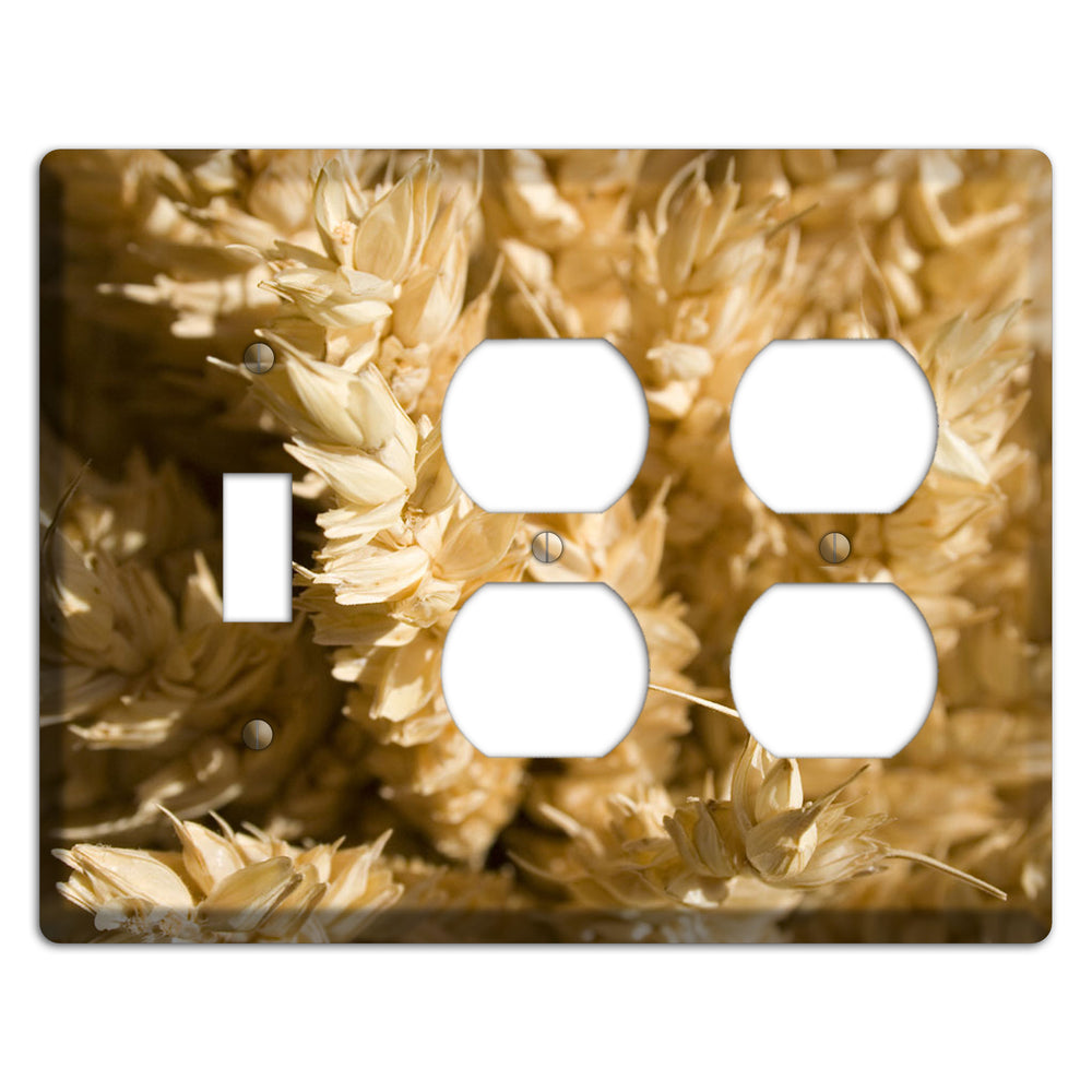 Wheat Toggle / 2 Duplex Wallplate