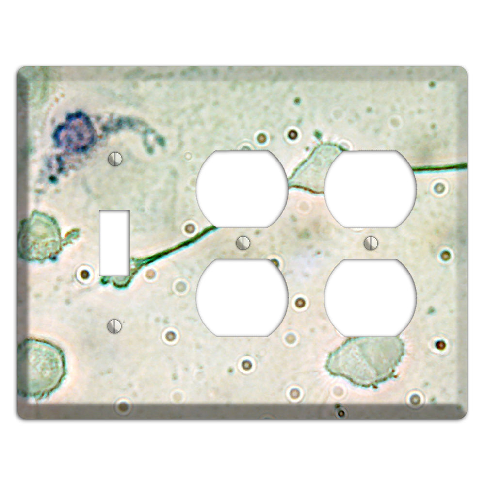 Macrophage Toggle / 2 Duplex Wallplate