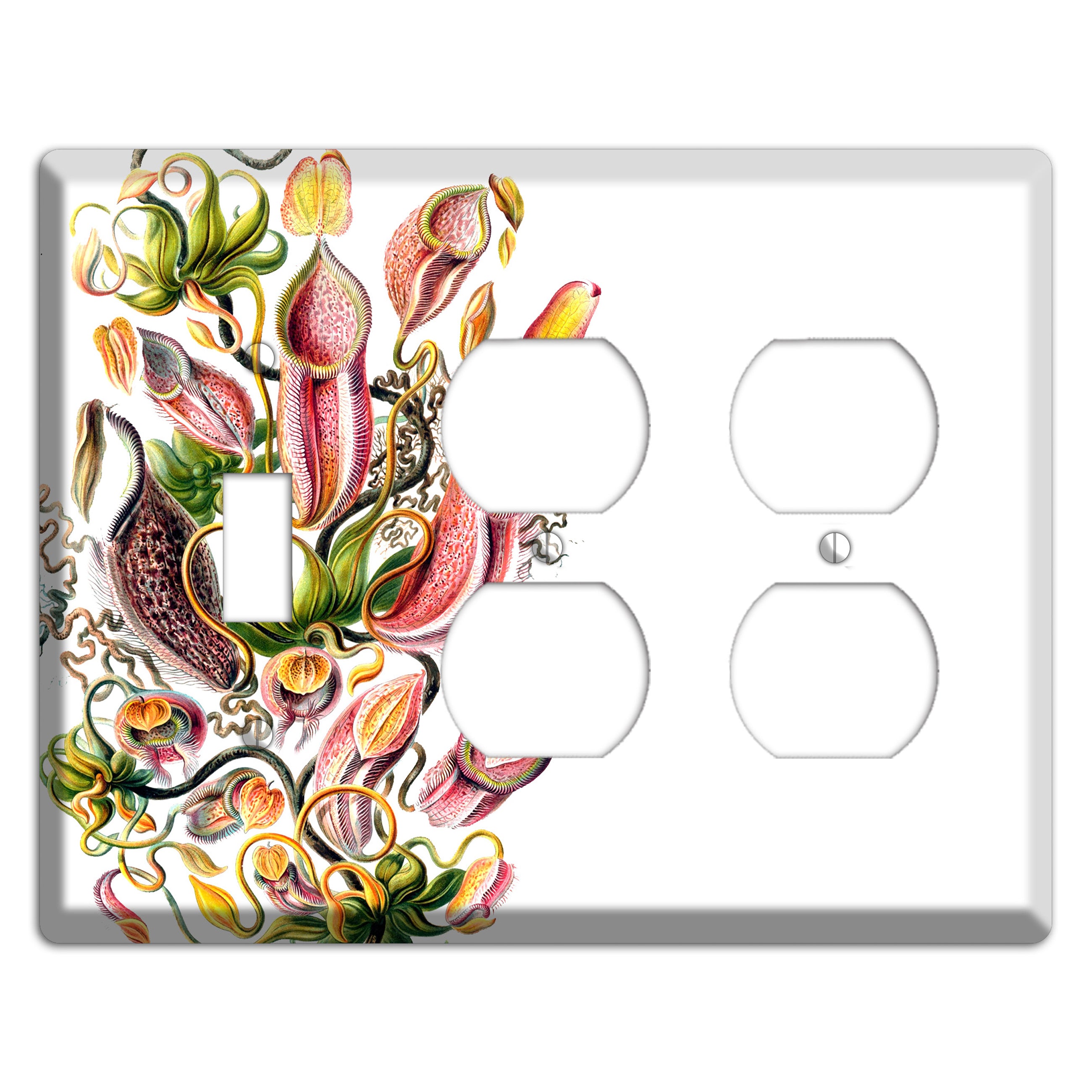 Haechel Toggle / 2 Duplex Wallplate