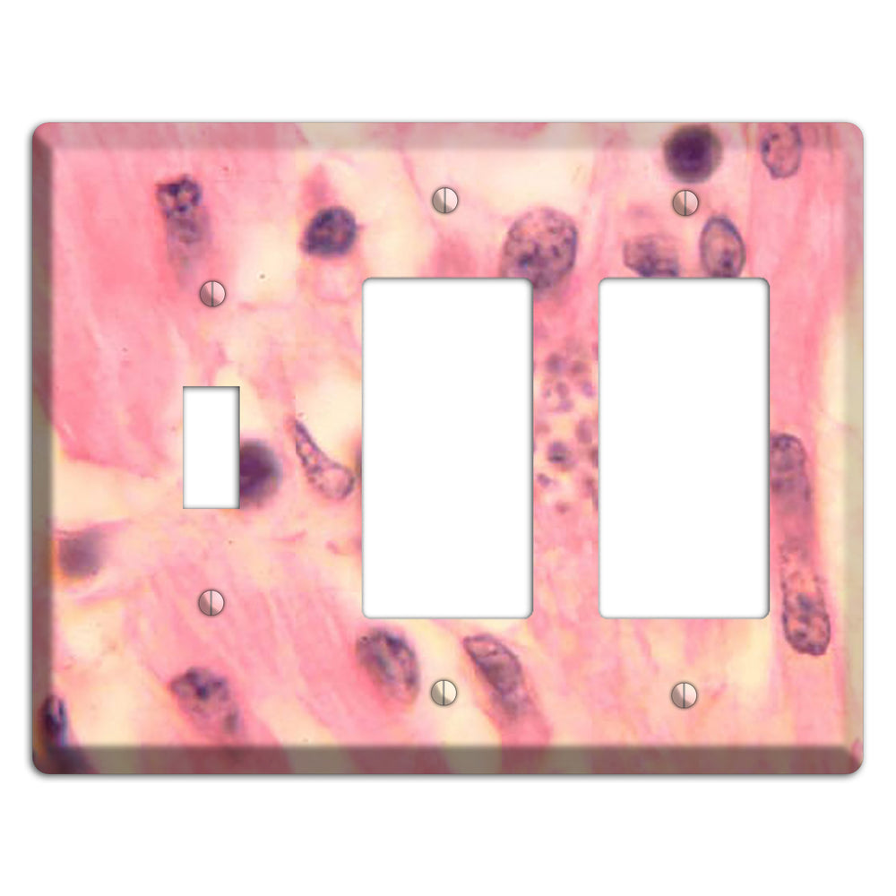 Trypanosoma Cruzi Heart Toggle / 2 Rocker Wallplate