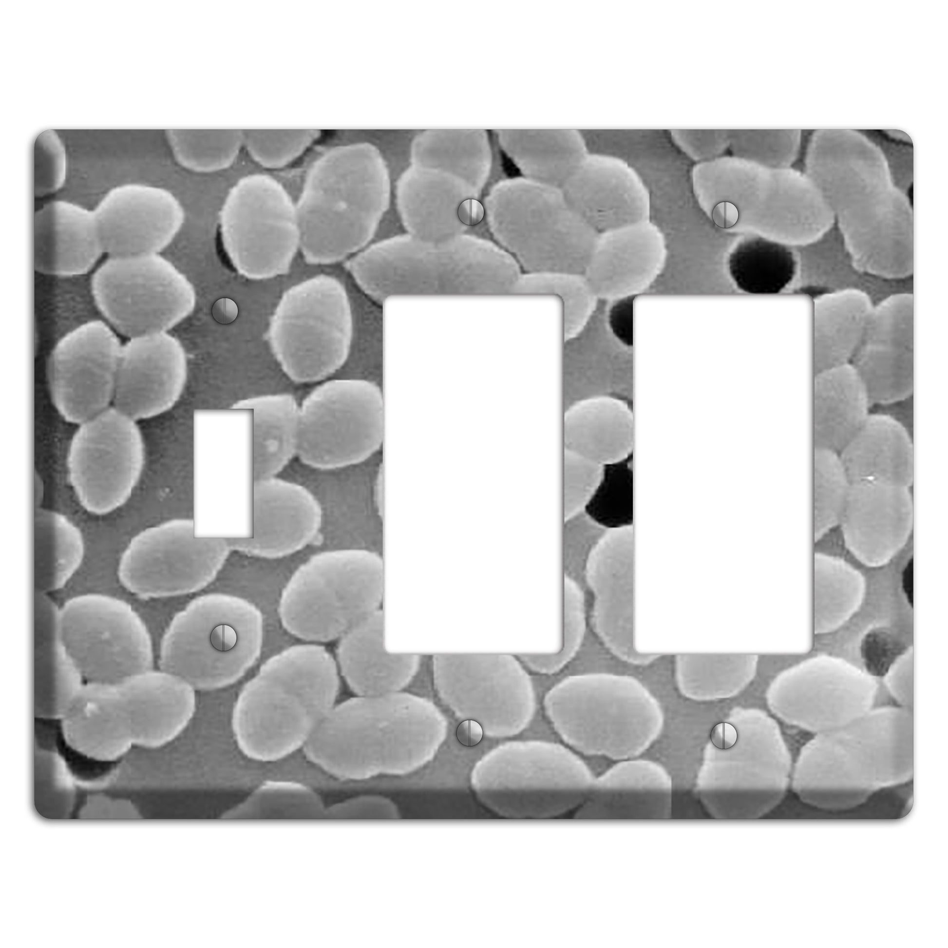 Entercoccus Toggle / 2 Rocker Wallplate