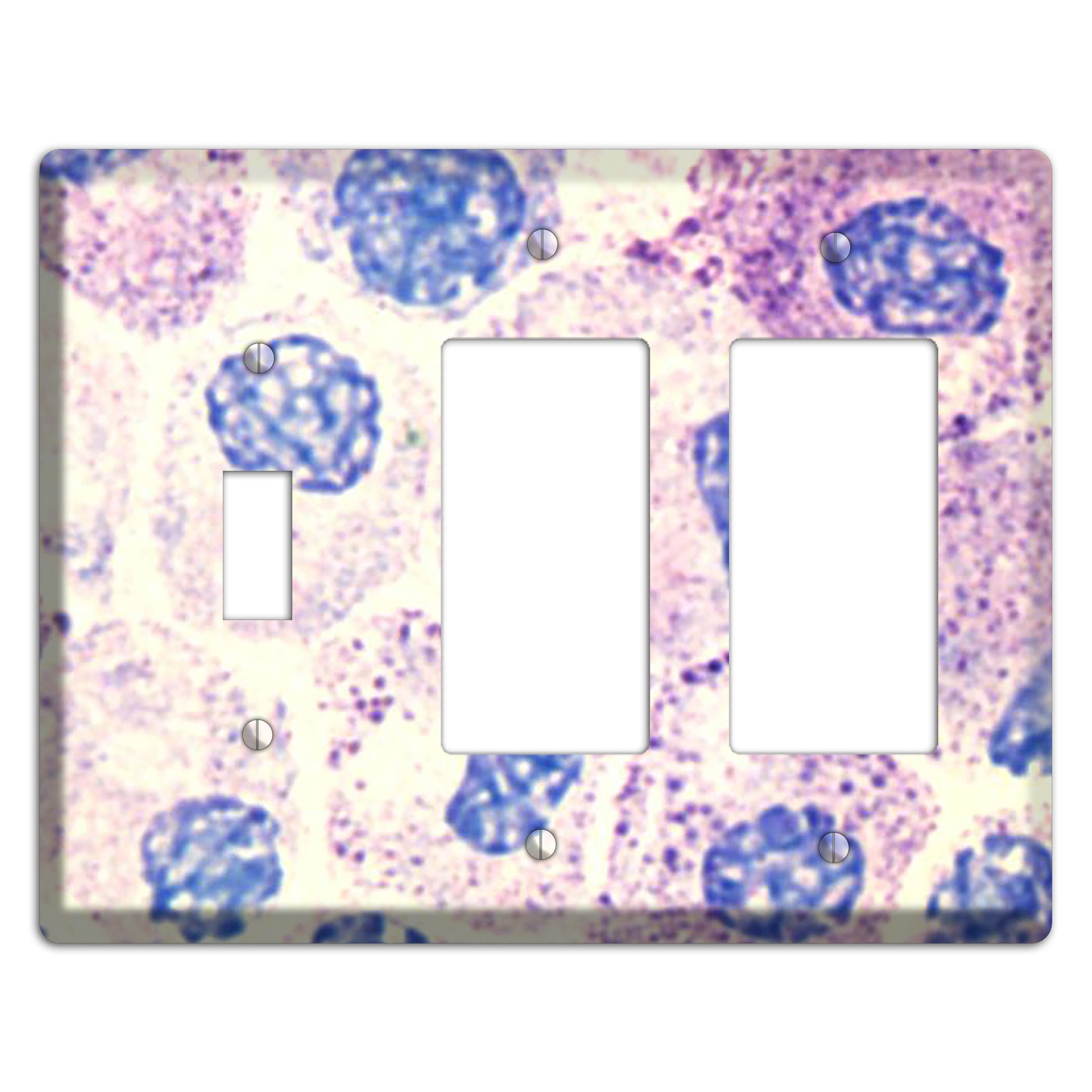 SMC Polyhydroxy Toggle / 2 Rocker Wallplate