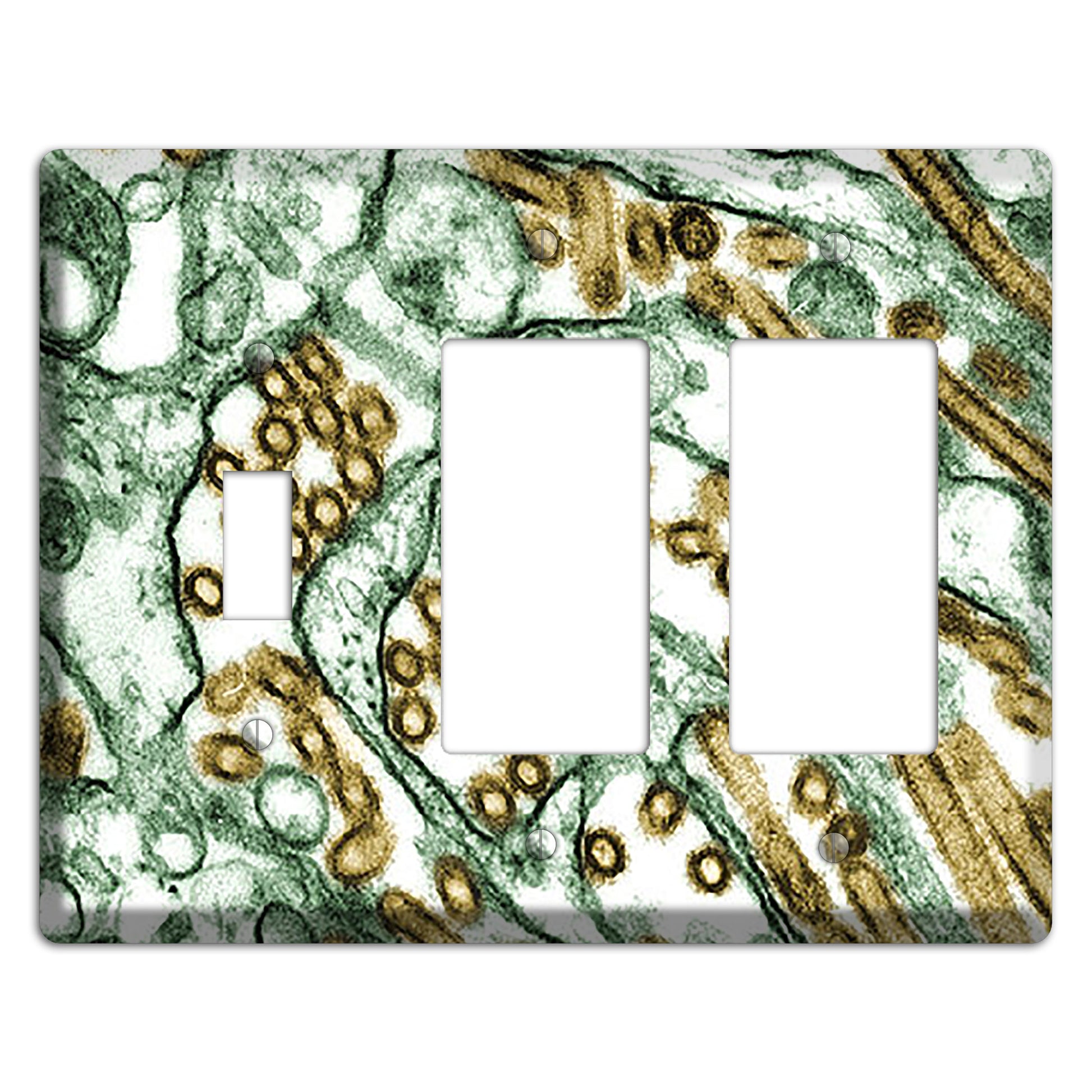 influenza A H5N1 Toggle / 2 Rocker Wallplate