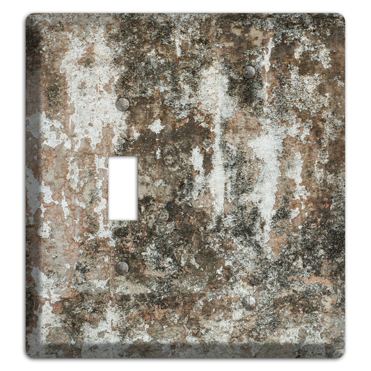 Old Concrete 10 Toggle / Blank Wallplate