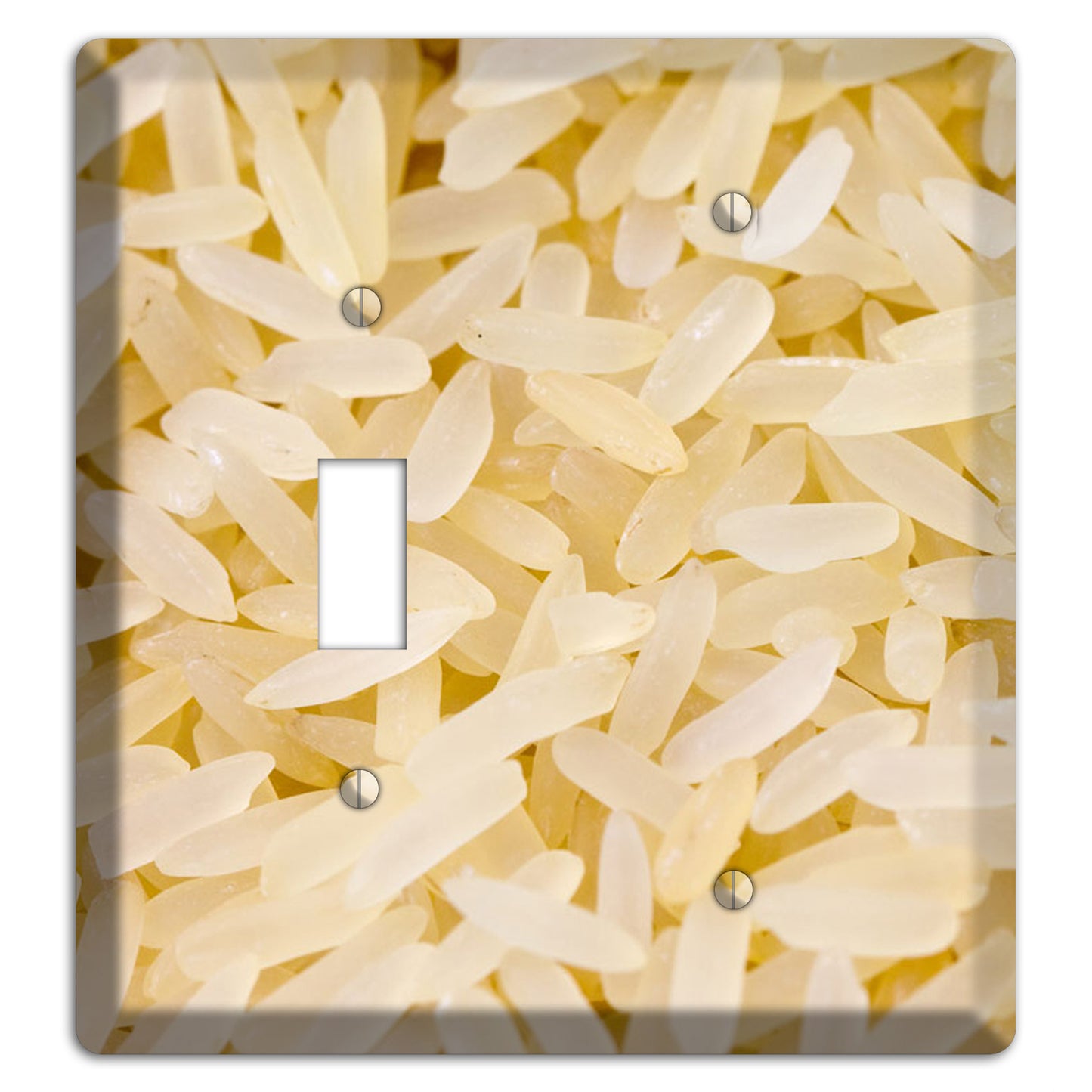 Rice Toggle / Blank Wallplate