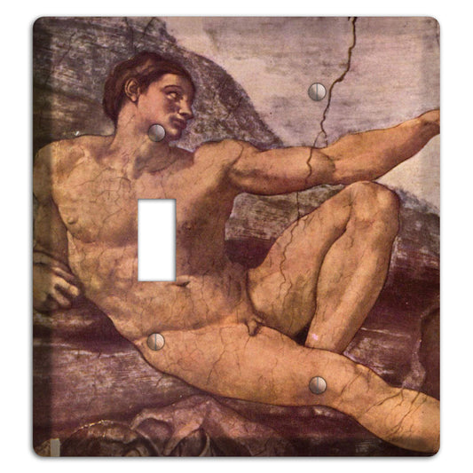 Michelangelo 2 Toggle / Blank Wallplate