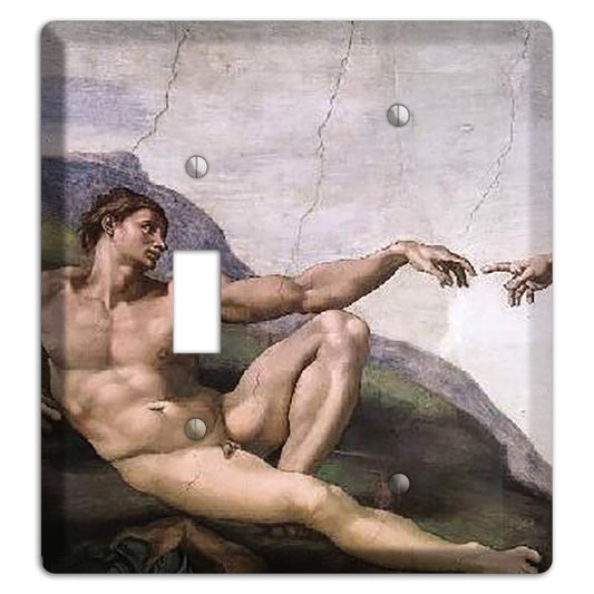 Michelangelo 1 Toggle / Blank Wallplate