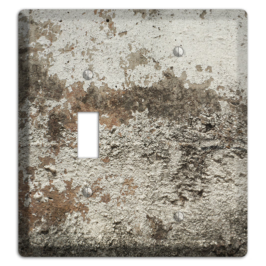 Old Concrete 12 Toggle / Blank Wallplate