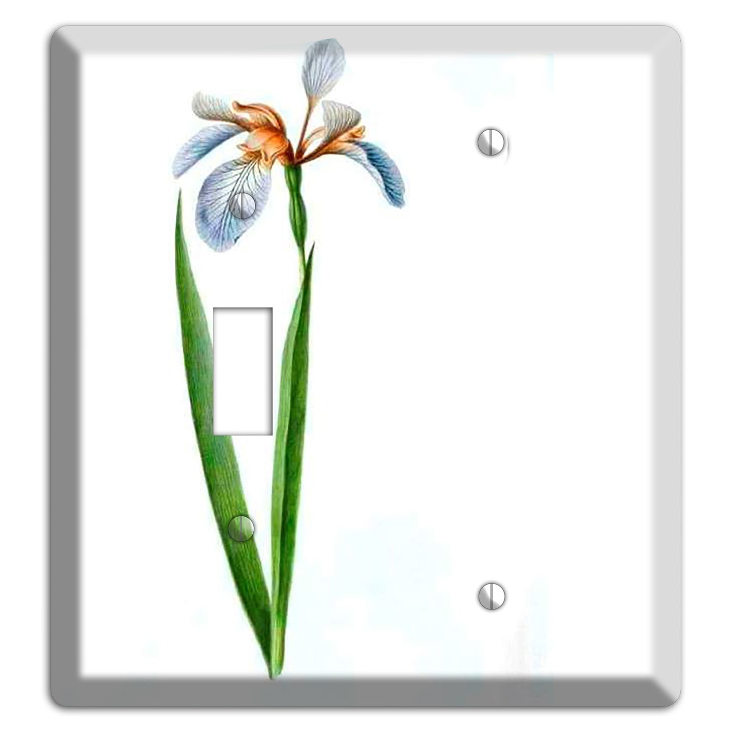 White Iris 2 Toggle / Blank Wallplate