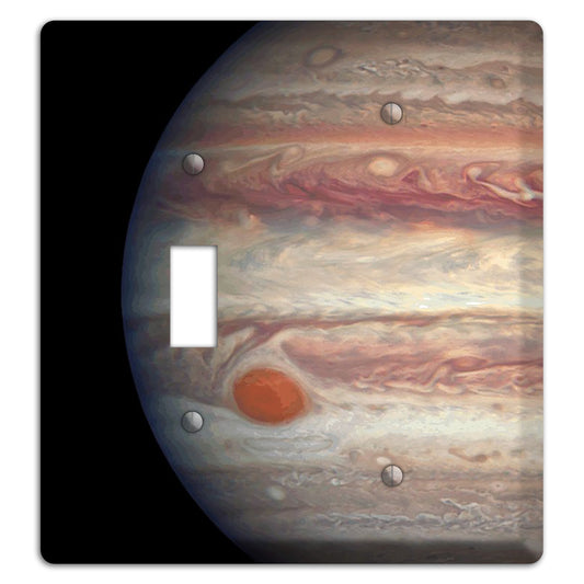 Jupiter's Toggle / Blank Wallplate